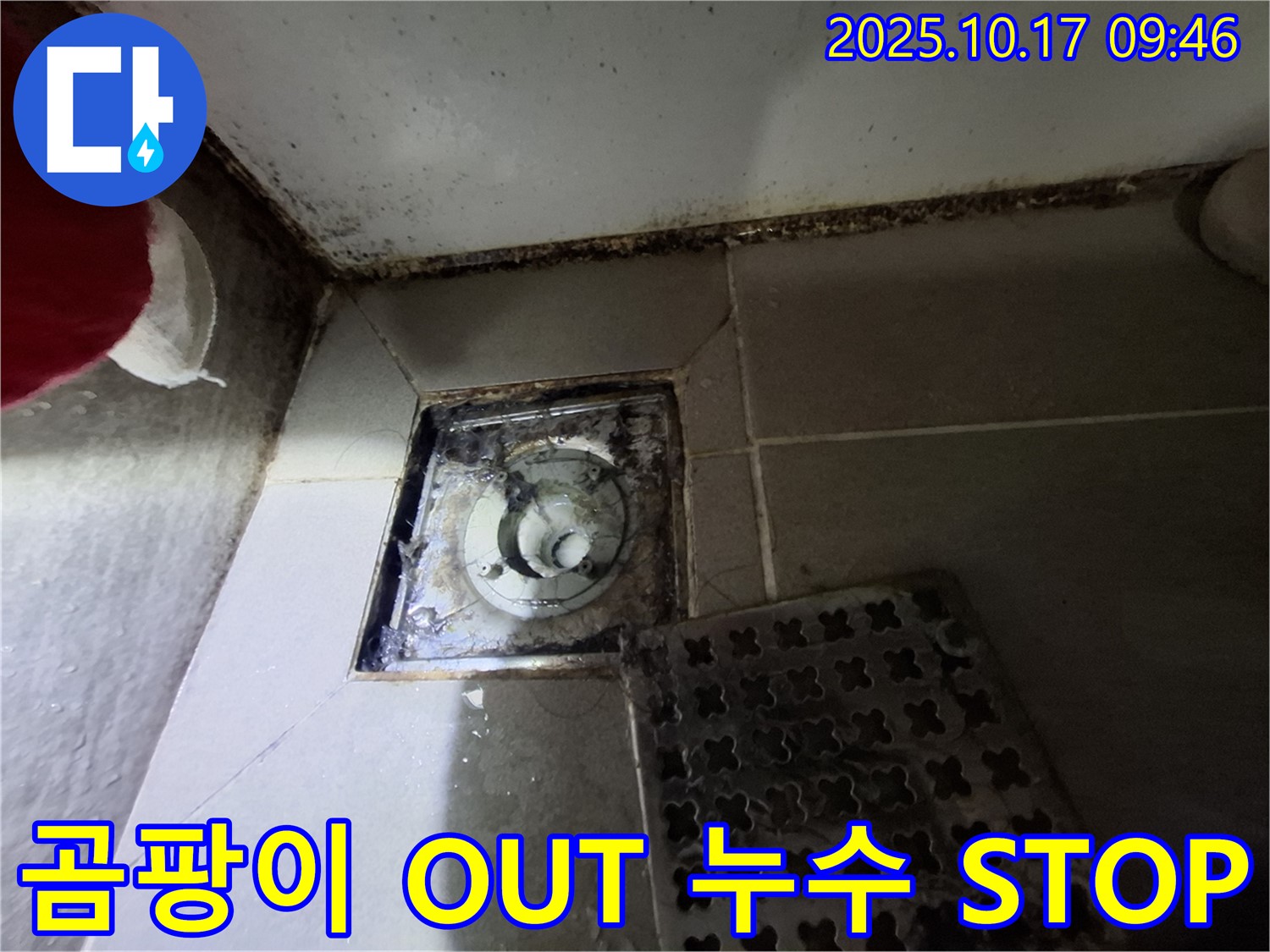 판교 봇들마을 아파트 욕실 배수구 곰팡이 제거 - 누수 해결 - 완벽한 욕실 환경을 선사합니다.