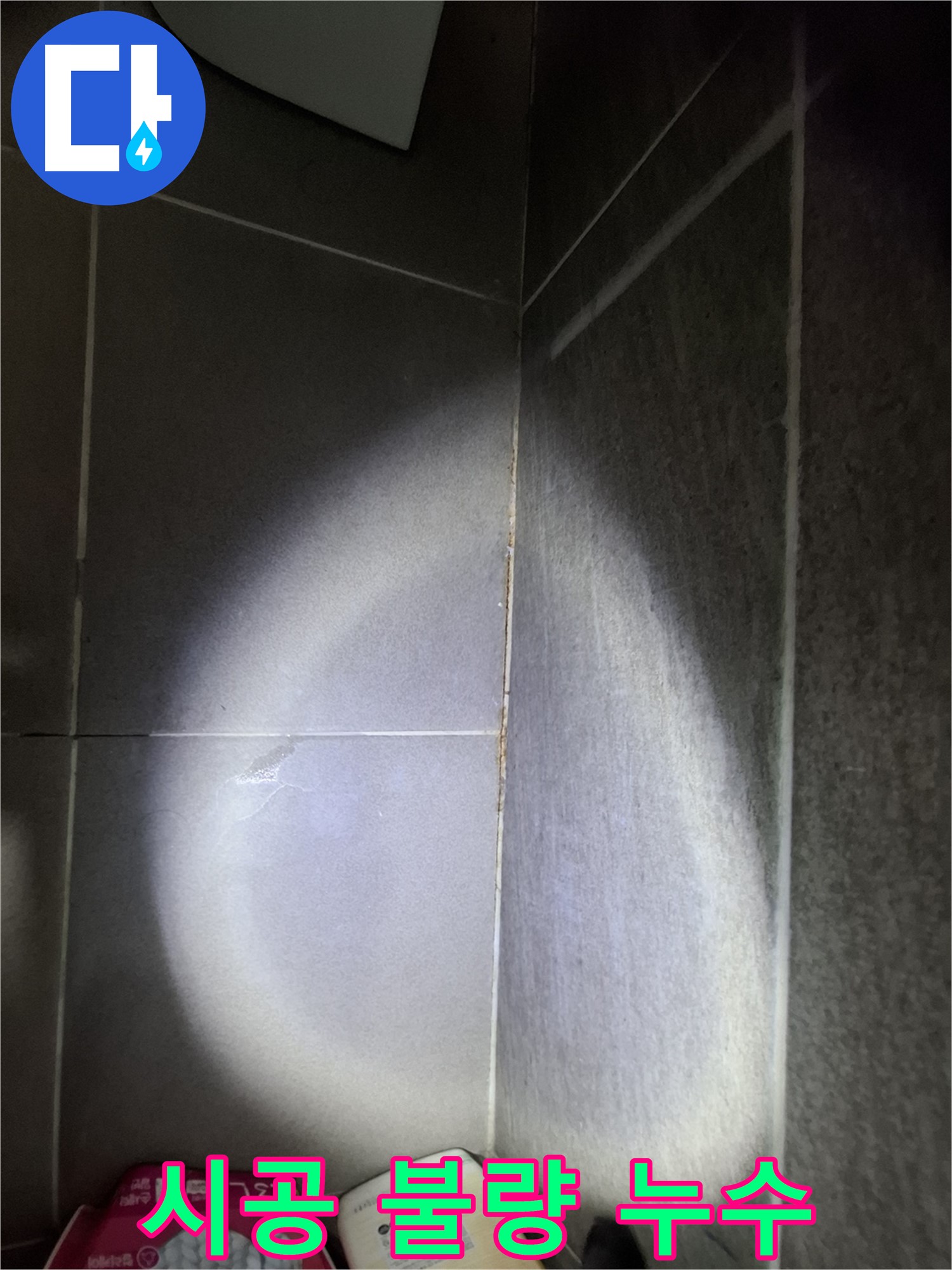 판교 봇들마을 욕실 타일 시공 불량으로 인한 누수 - 문제점 진단