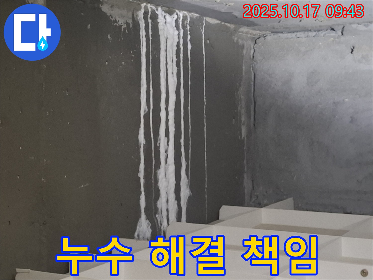 판교 봇들마을2단지 아파트 계단 석회수 누수 - 누수 해결 확실하게 책임