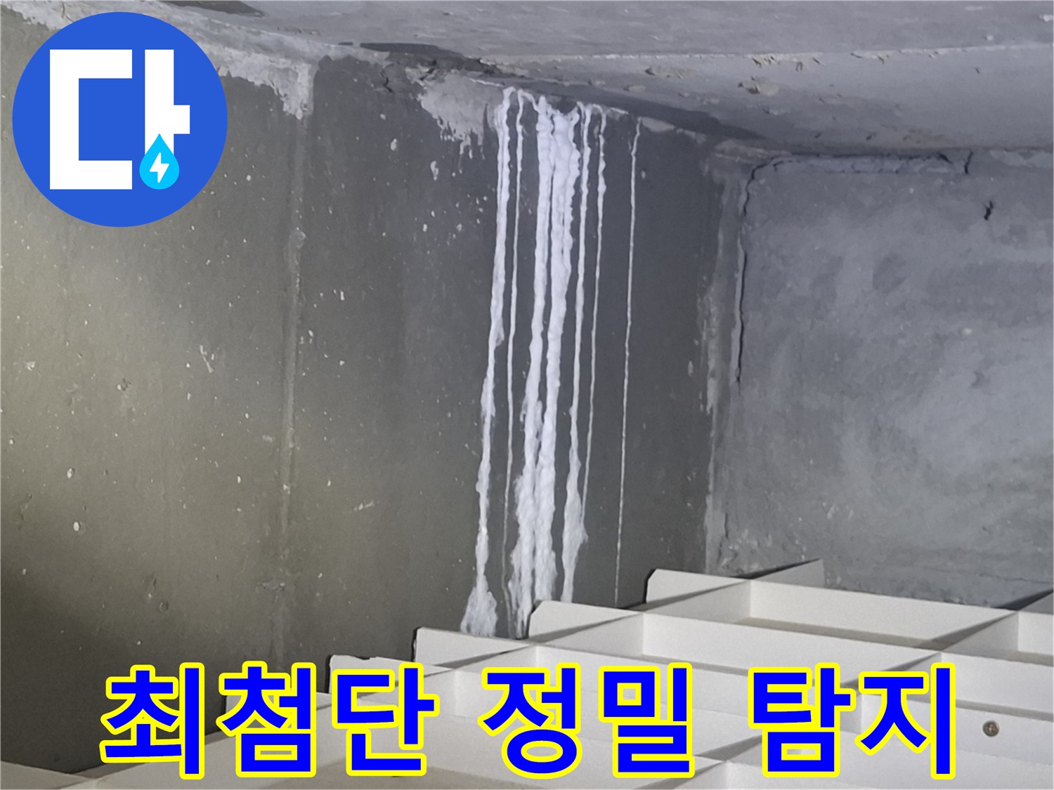 판교 봇들마을2단지 아파트 누수 - 최첨단 장비로 정밀 탐지 시작