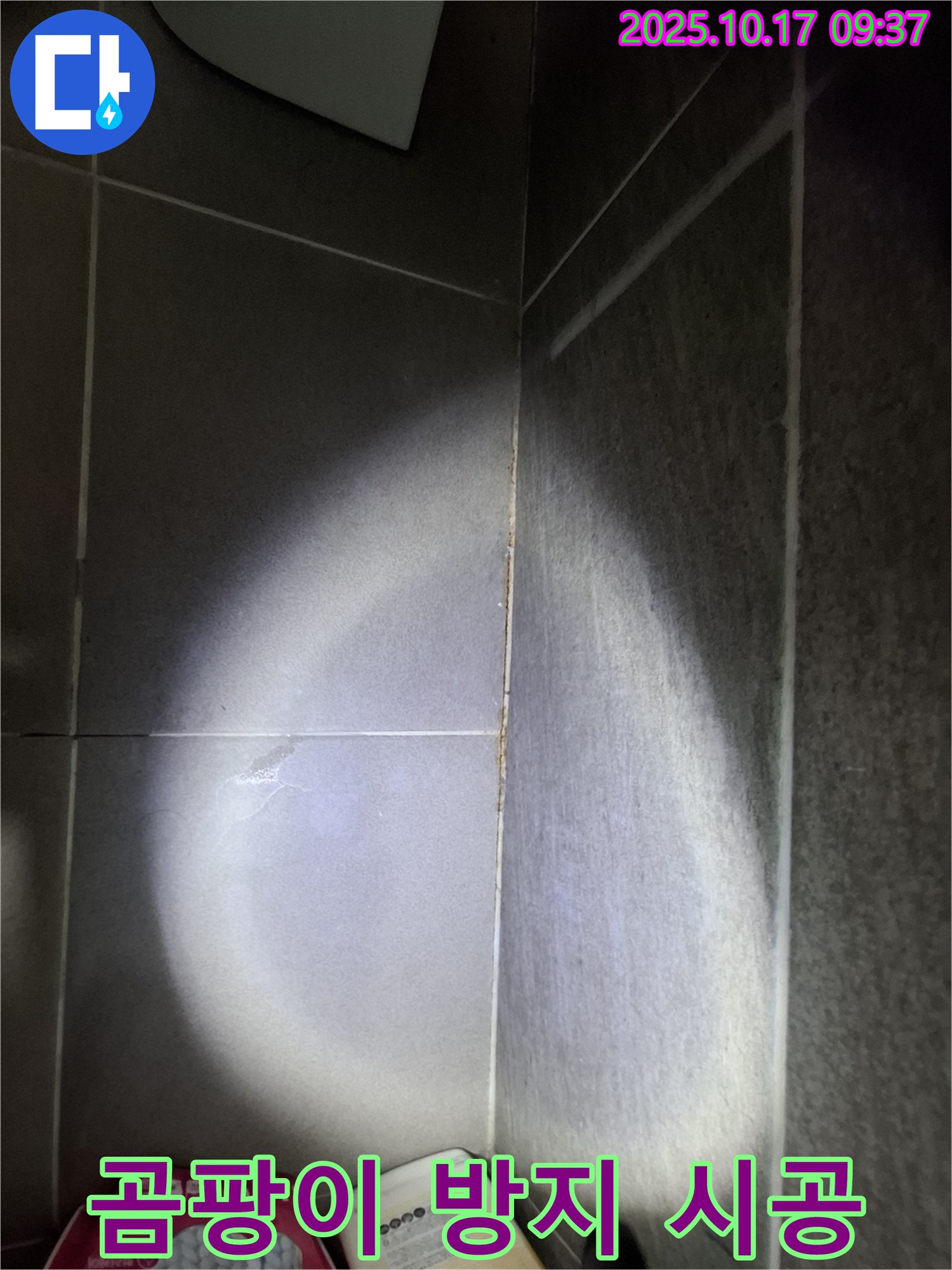 판교 삼평동 봇들마을 아파트 욕실 타일 틈새 누수 - 곰팡이 방지 실리콘으로 꼼꼼하게 시공 완료!