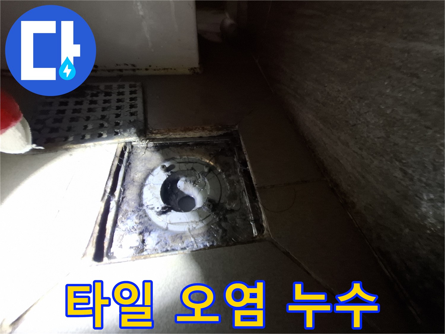 판교 삼평동 봇들마을 욕실 타일 오염 - 누수 가능성 점검, 청결 유지가 중요합니다