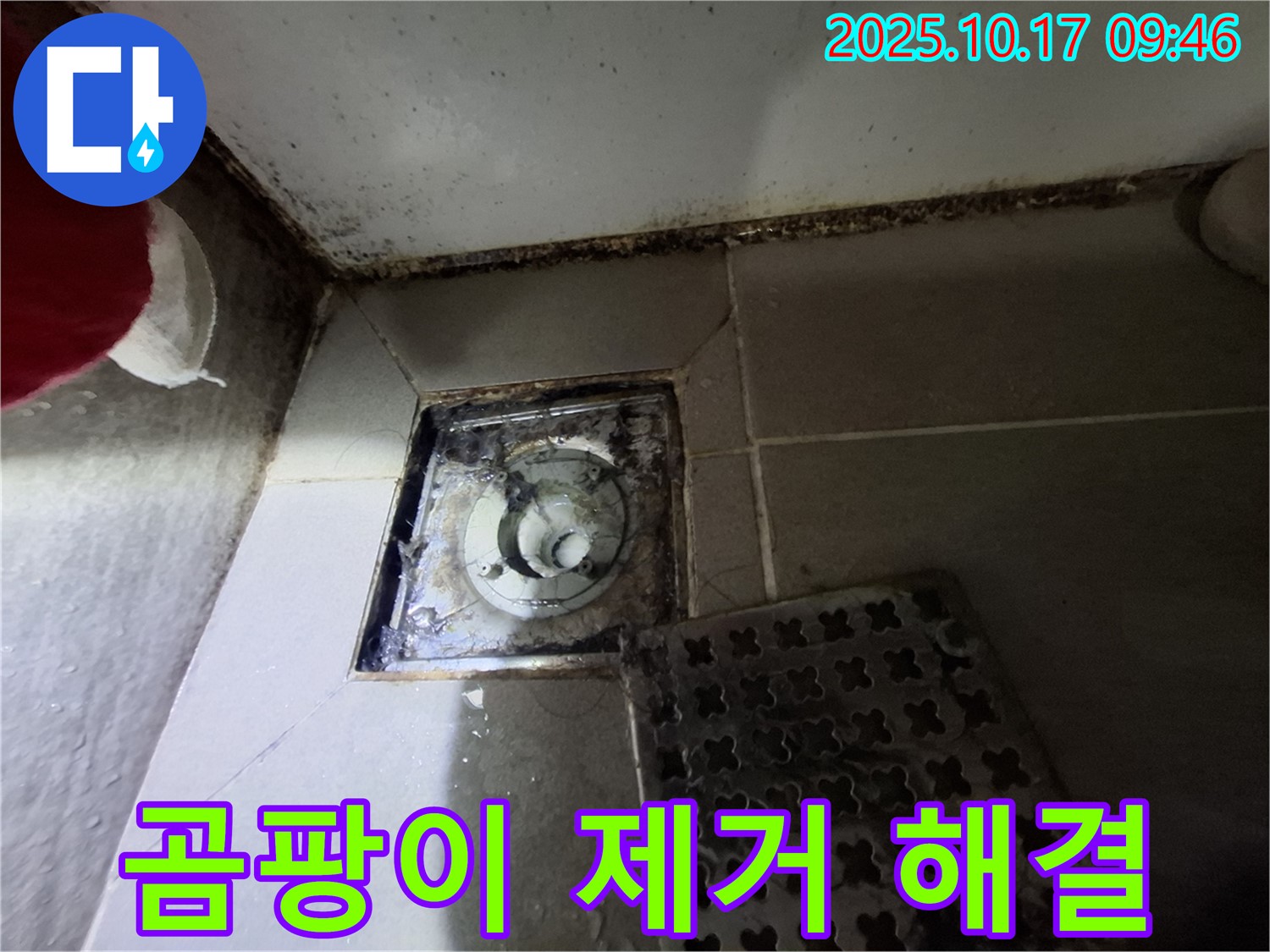 판교 삼평동 봇들마을2단지 아파트 - 욕실 곰팡이 제거 - 누수 완벽 해결 - 쾌적한 욕실 환경을 위한 최적의 솔루션.