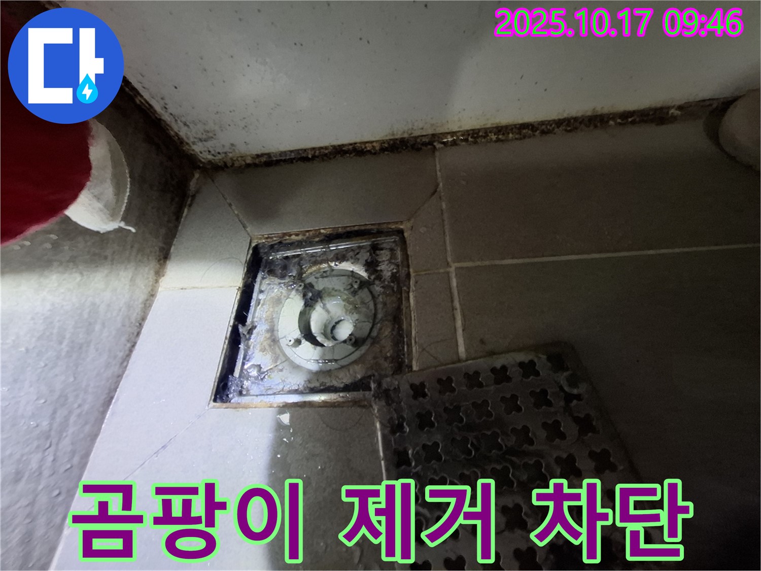 판교 삼평동 봇들마을2단지 아파트 - 욕실 배수구 곰팡이 제거 - 누수 완벽 차단 - 친환경 시공으로 안전하고 쾌적한 욕실 환경을 만들어 드립니다.