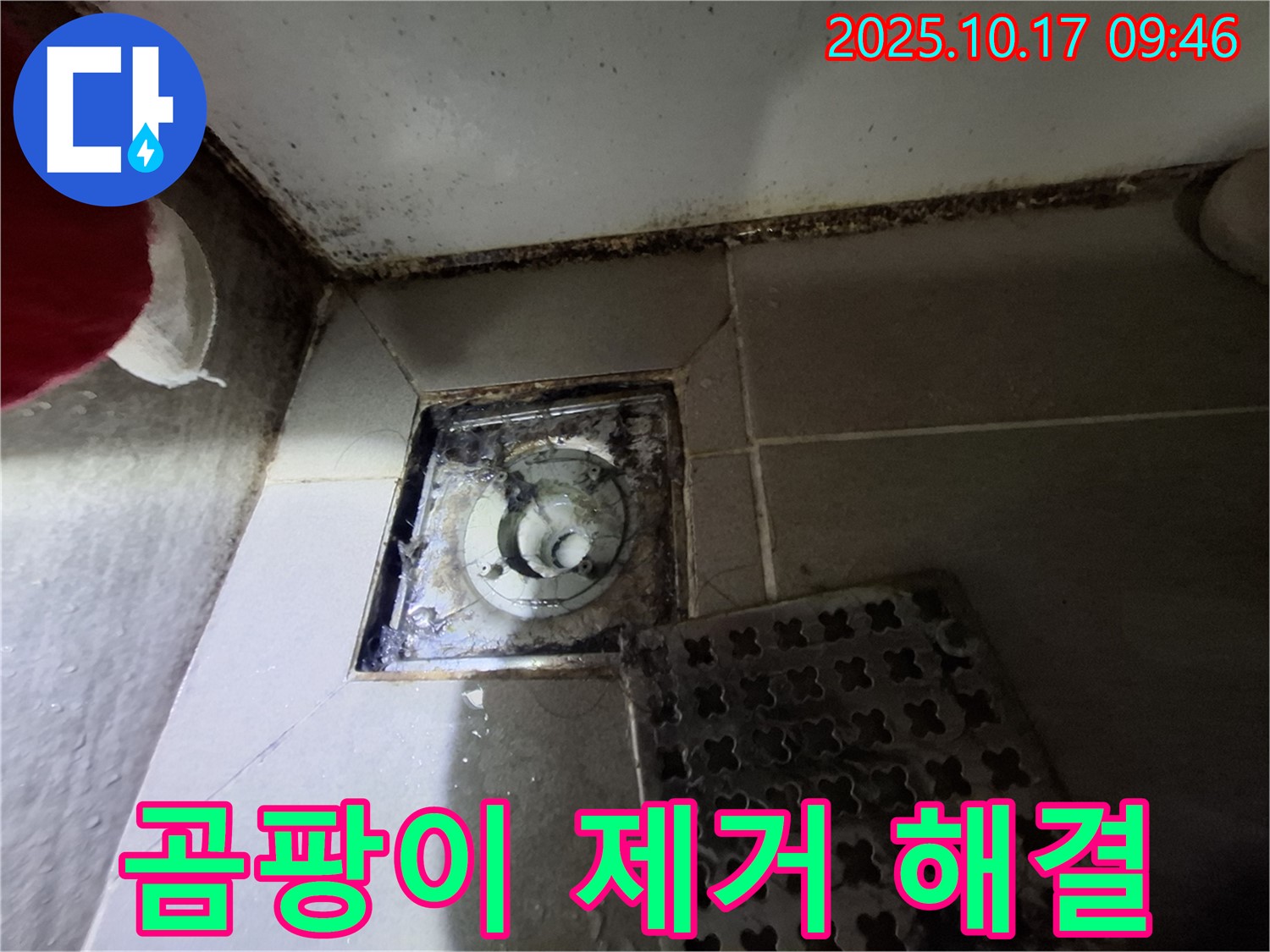 판교 삼평동 봇들마을2단지 아파트 욕실 배수구 곰팡이 제거 - 누수 완벽 해결 - 쾌적한 욕실 환경을 위한 최적의 솔루션.