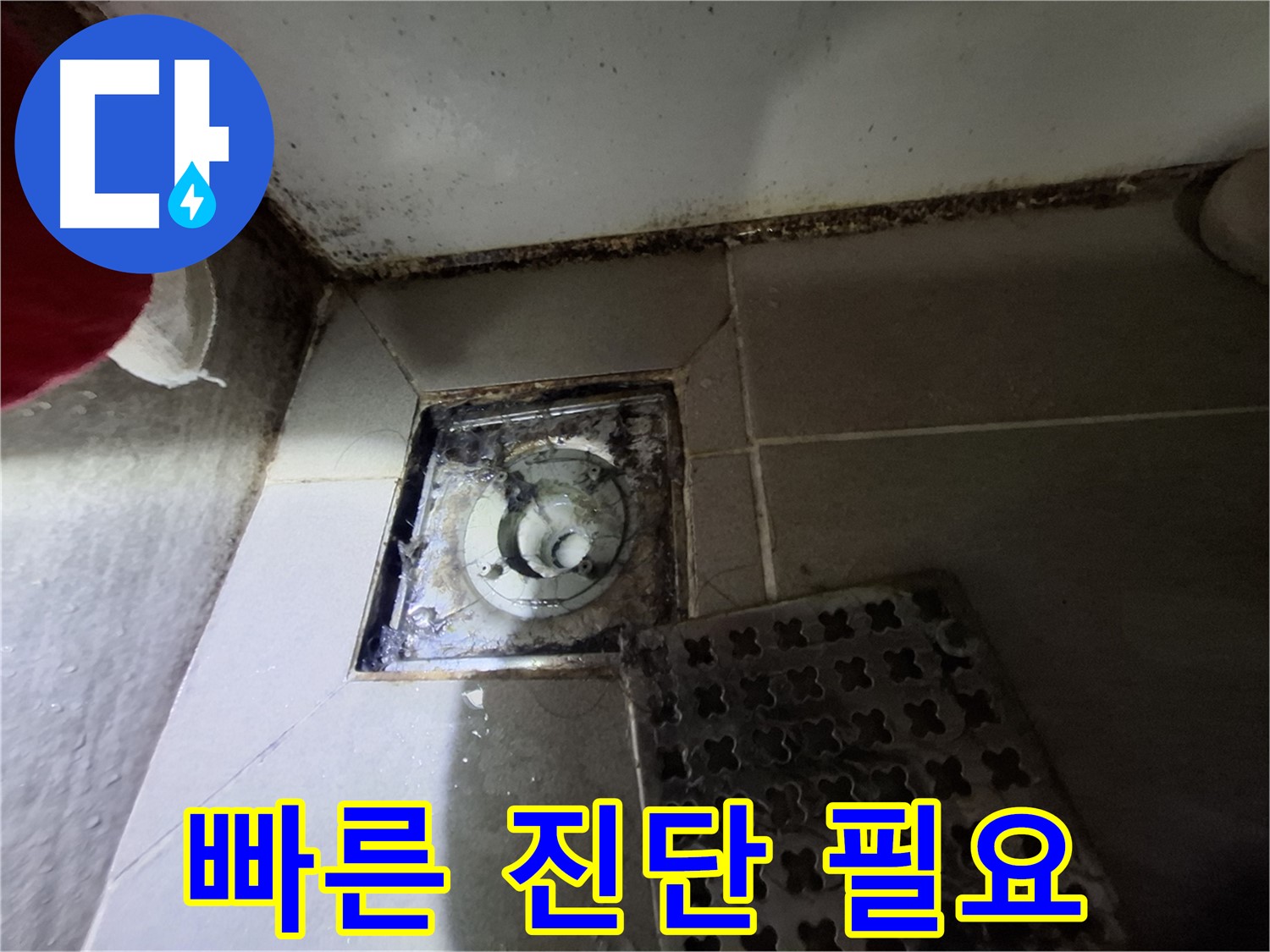 판교 삼평동 봇들마을2단지 욕실 - 곰팡이 오염 심각 - 빠른 진단 필요