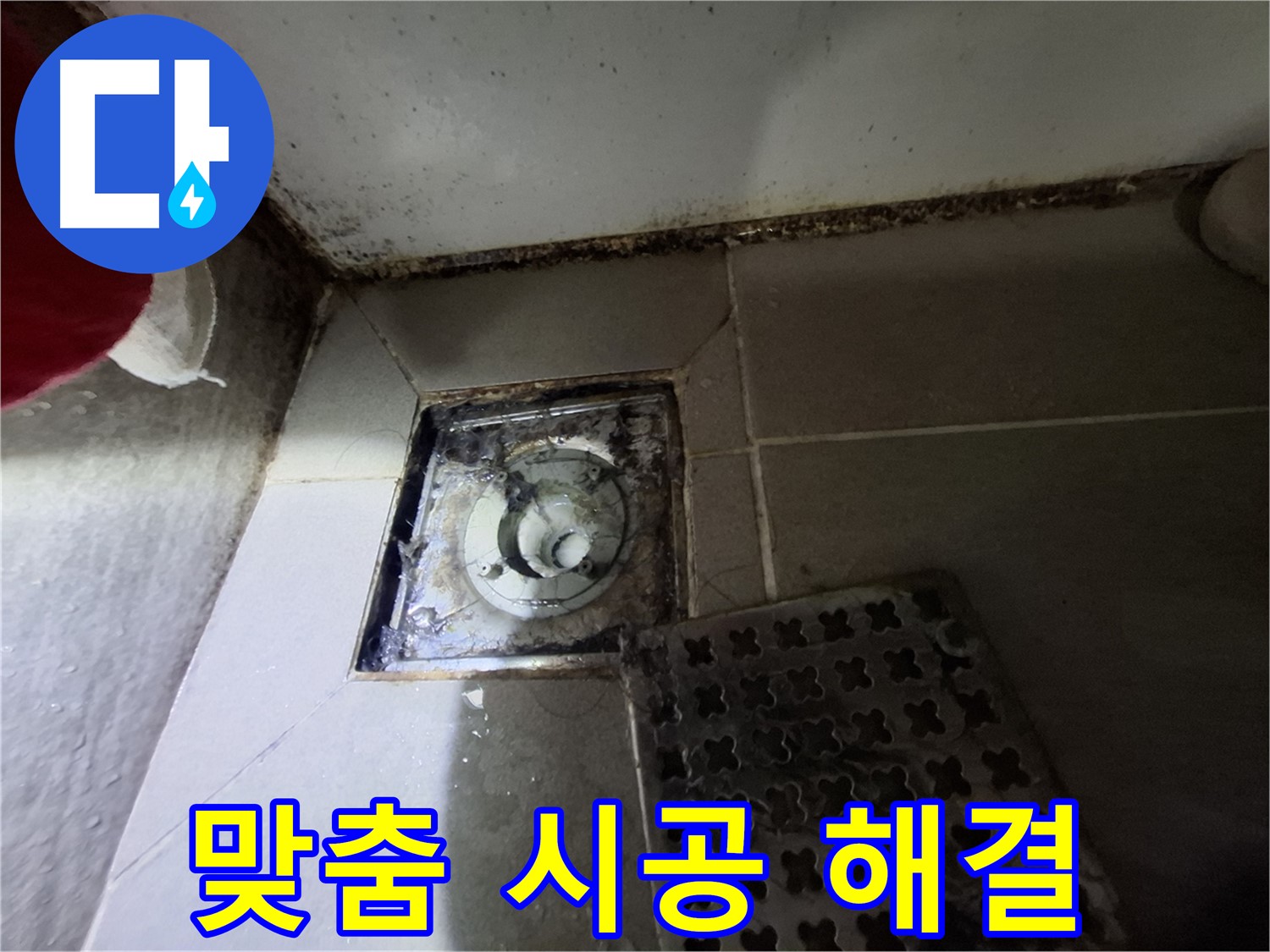판교 삼평동 봇들마을2단지 욕실 - 꼼꼼한 점검, 맞춤 시공으로 완벽 해결