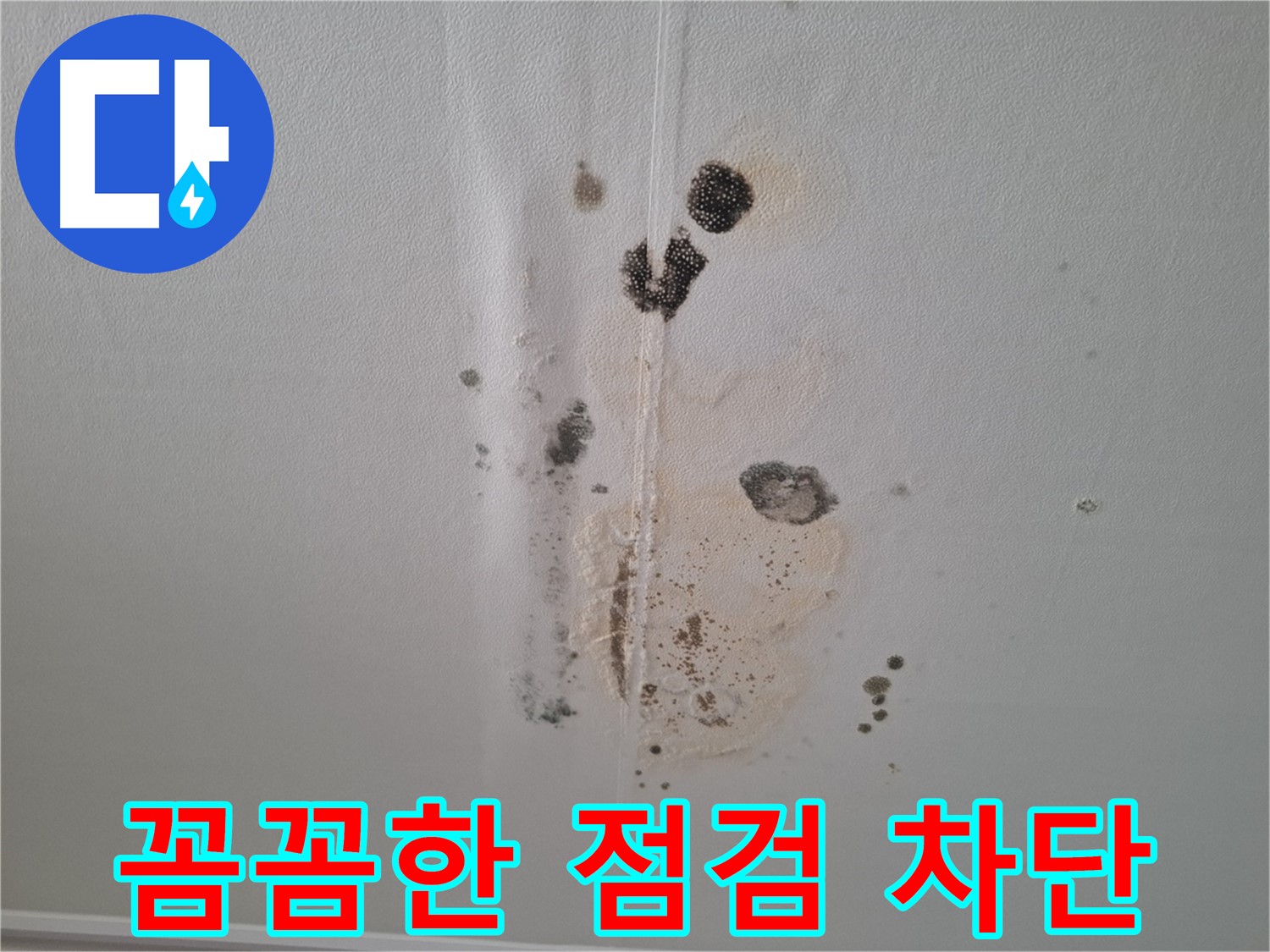 판교 아파트 누수 - 꼼꼼한 점검으로 곰팡이 발생 완벽 차단