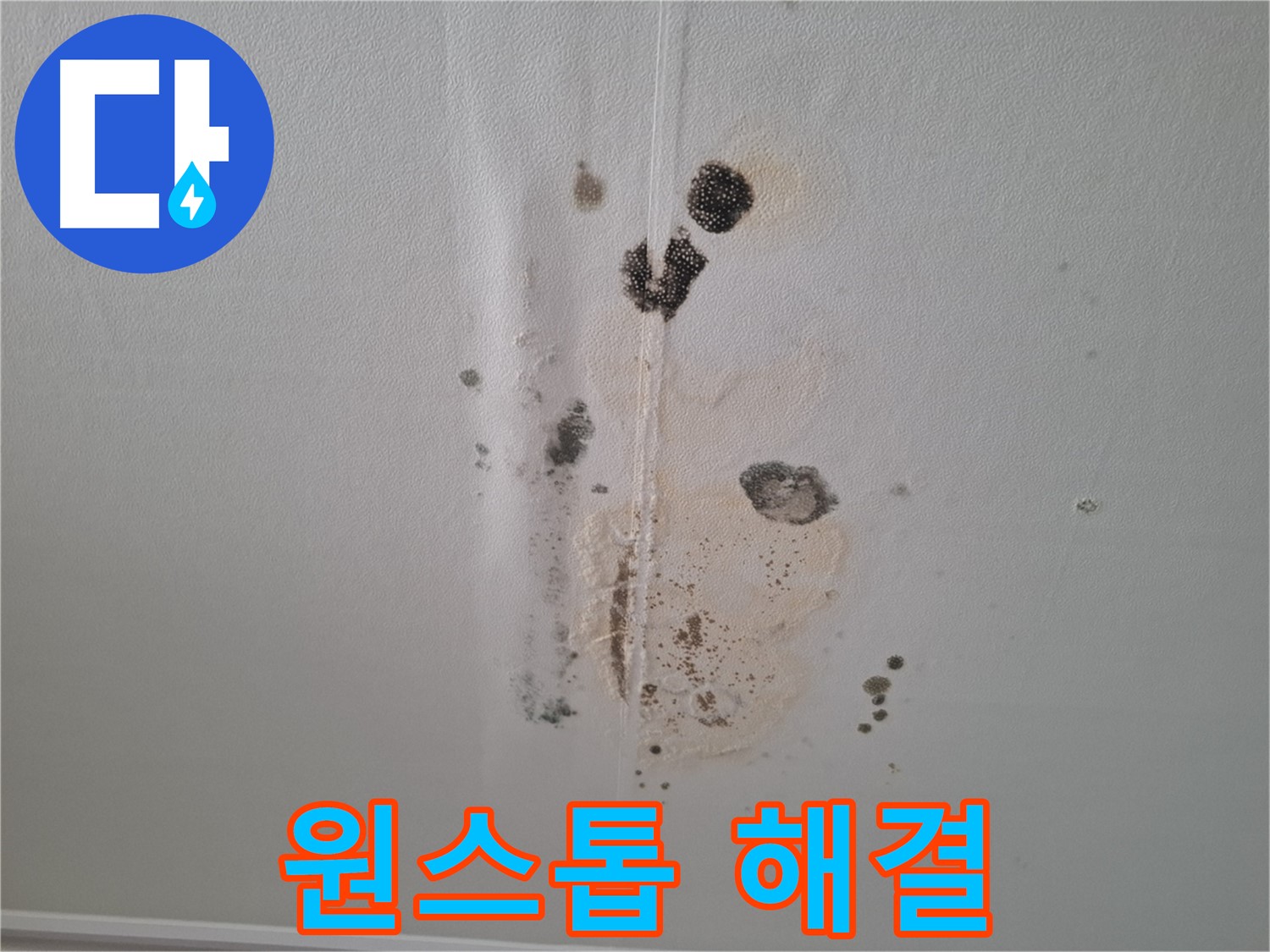 판교 아파트 누수 - 천장 곰팡이 원스톱 해결 서비스 제공