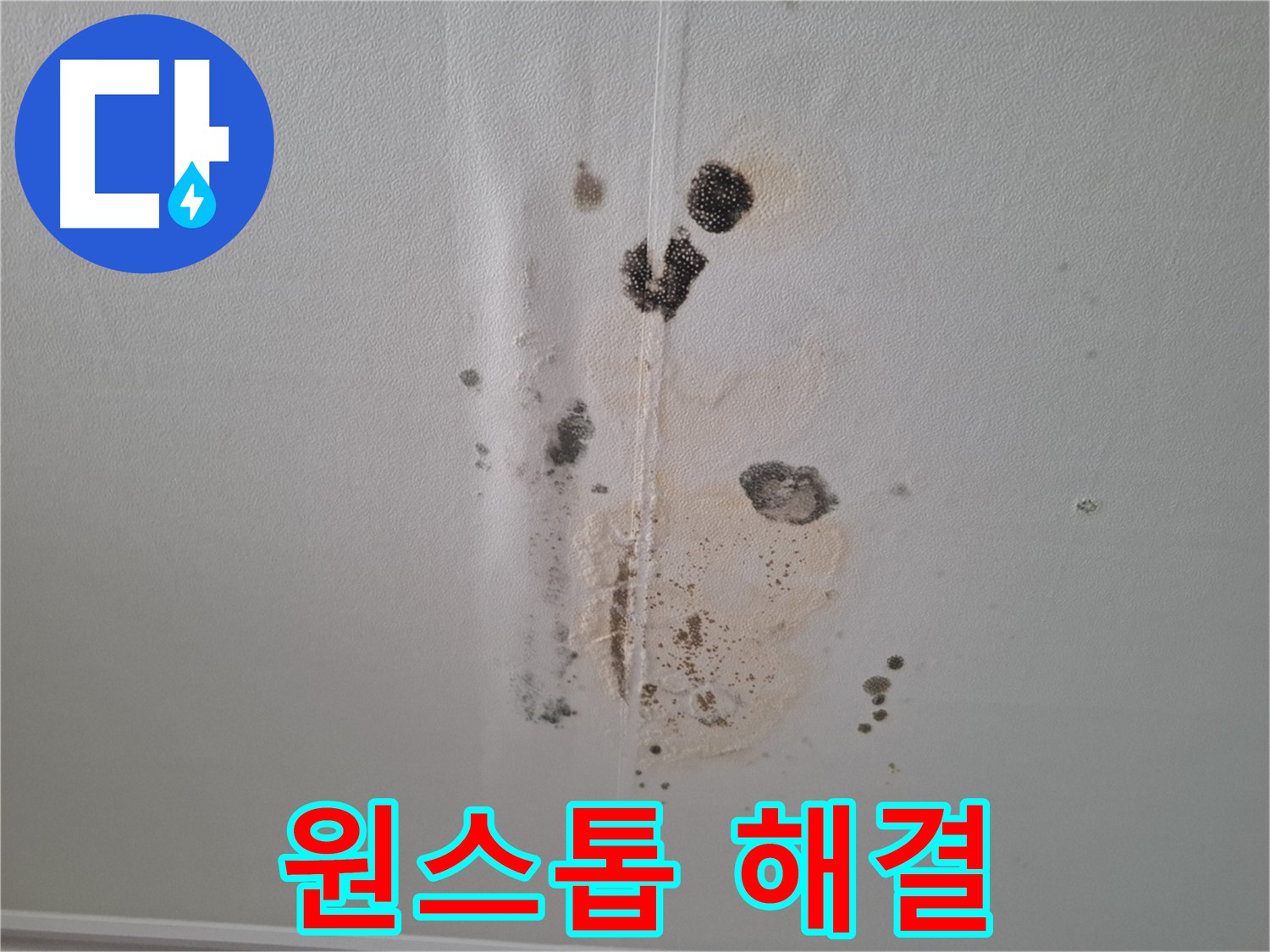 판교 아파트 누수 - 천장 곰팡이 원스톱 해결 서비스 제공