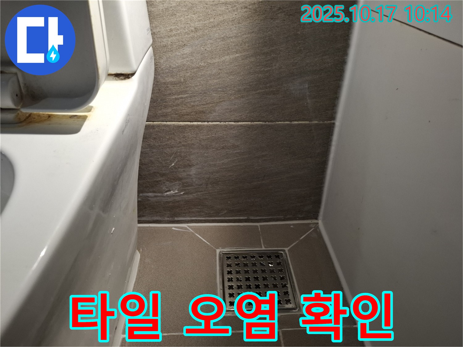 화장실 배수구 주변 타일 오염 확인 - 백시멘트 손상과 누수 가능성 점검