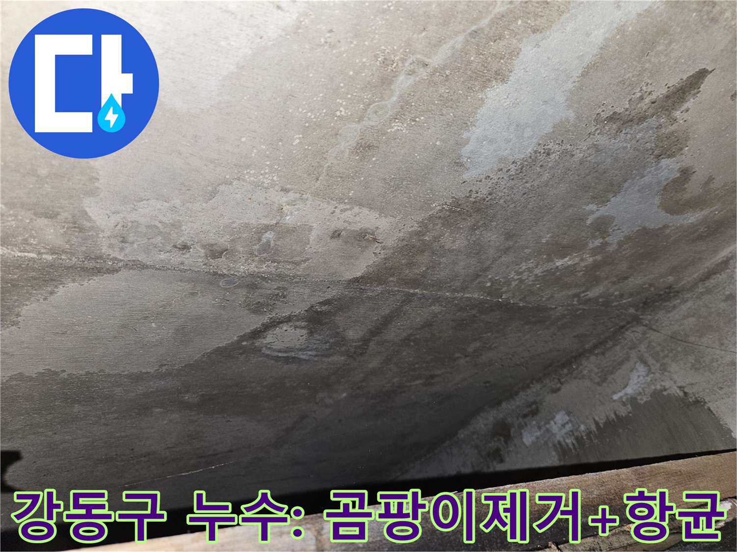 강동구 아파트 콘크리트 누수 - 곰팡이 제거 및 항균 시공으로 건강 보호