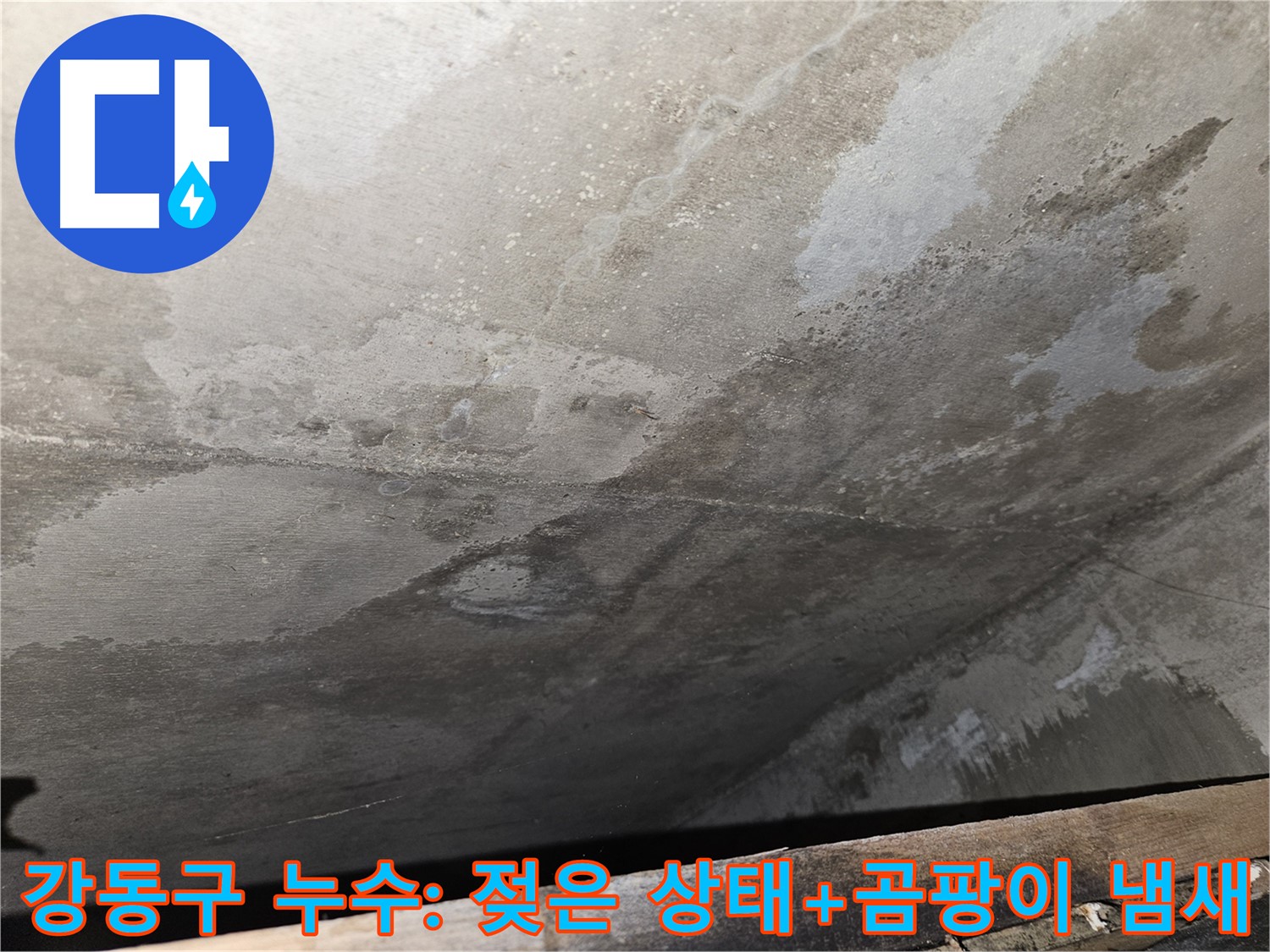 강동구 아파트 콘크리트 누수 - 젖은 상태와 곰팡이 냄새는 곰팡이 번식