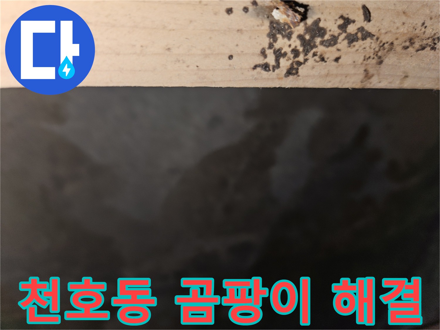 강동구 천호동 누수 - 곰팡이 누수 해결 전문가 - 완벽 해결