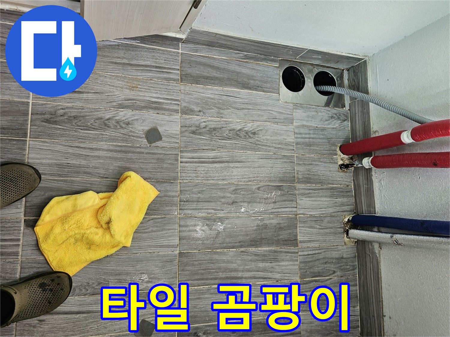 강동구 천호동 누수 - 배관 주변 타일 틈새 곰팡이 종류 확인