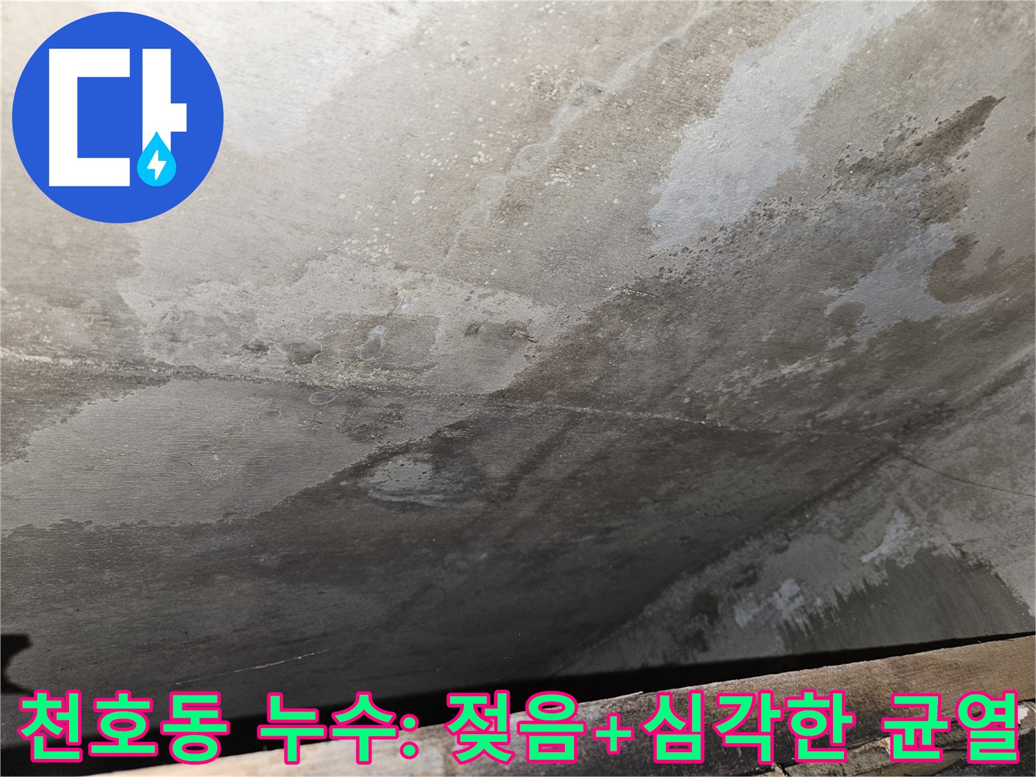강동구 천호동 누수탐지 - 젖음과 심각한 균열은 구조적 위험