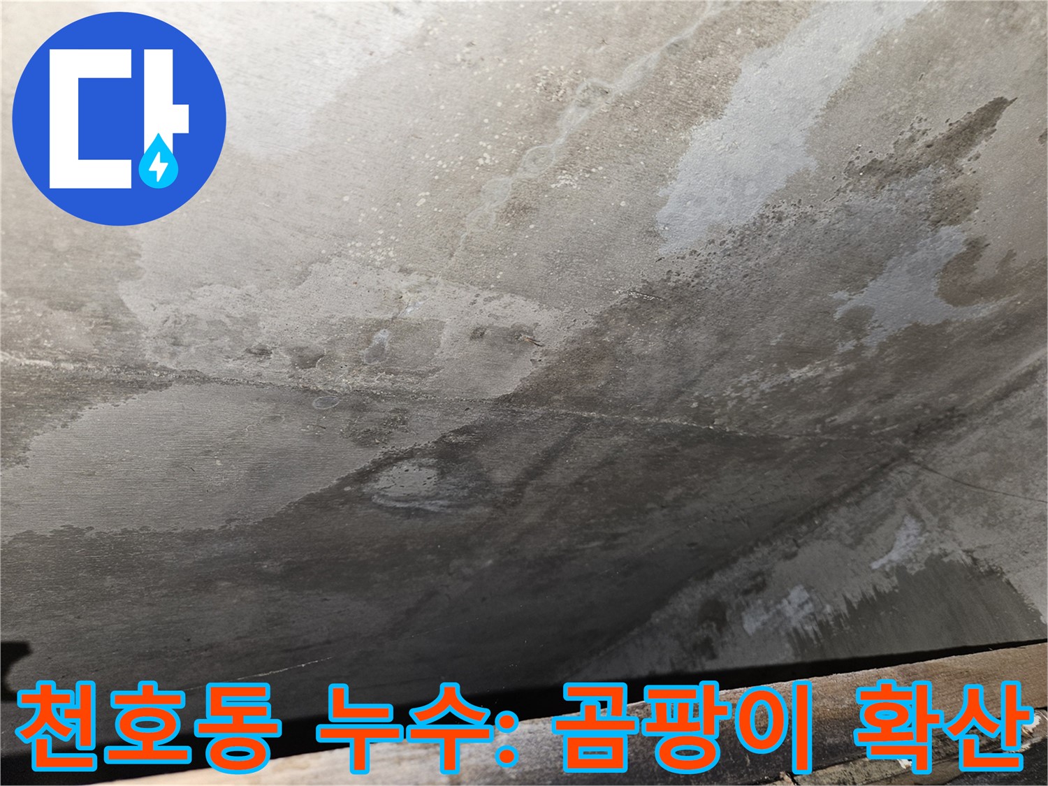 강동구 천호동 아파트 누수 - 콘크리트 곰팡이 확산은 건강 위협