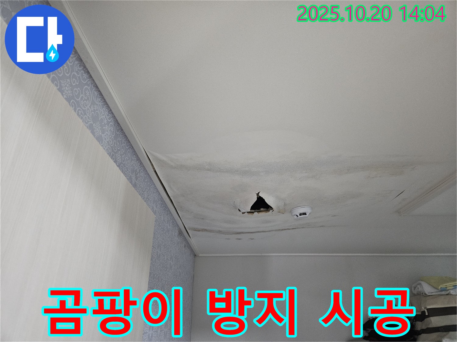 강동구 천호동 아파트 천장 누수 - 누수 해결과 함께 곰팡이 방지 시공 진행