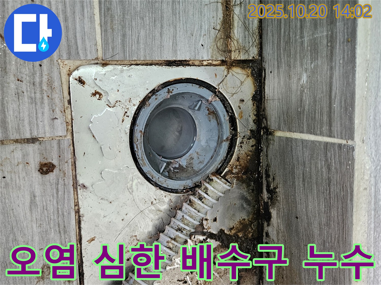 강동구 천호동 천중로16길 - 심하게 오염된 욕실 배수구 청소 및 누수 해결