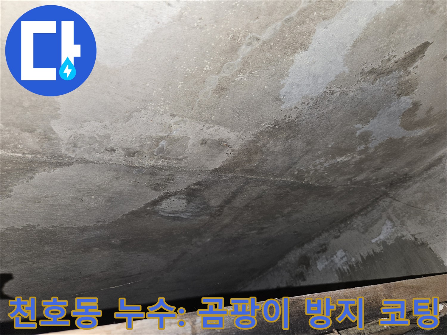 강동구 천호동 콘크리트 누수 - 곰팡이 방지 코팅으로 쾌적한 환경 유지