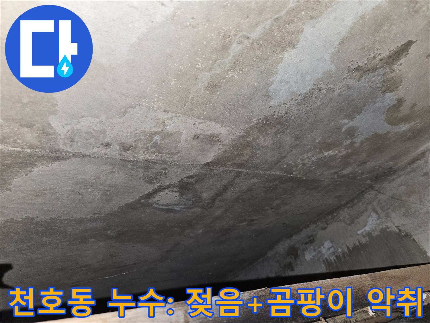 강동구 천호동 콘크리트 누수 - 젖음과 곰팡이 악취는 심각한 오염