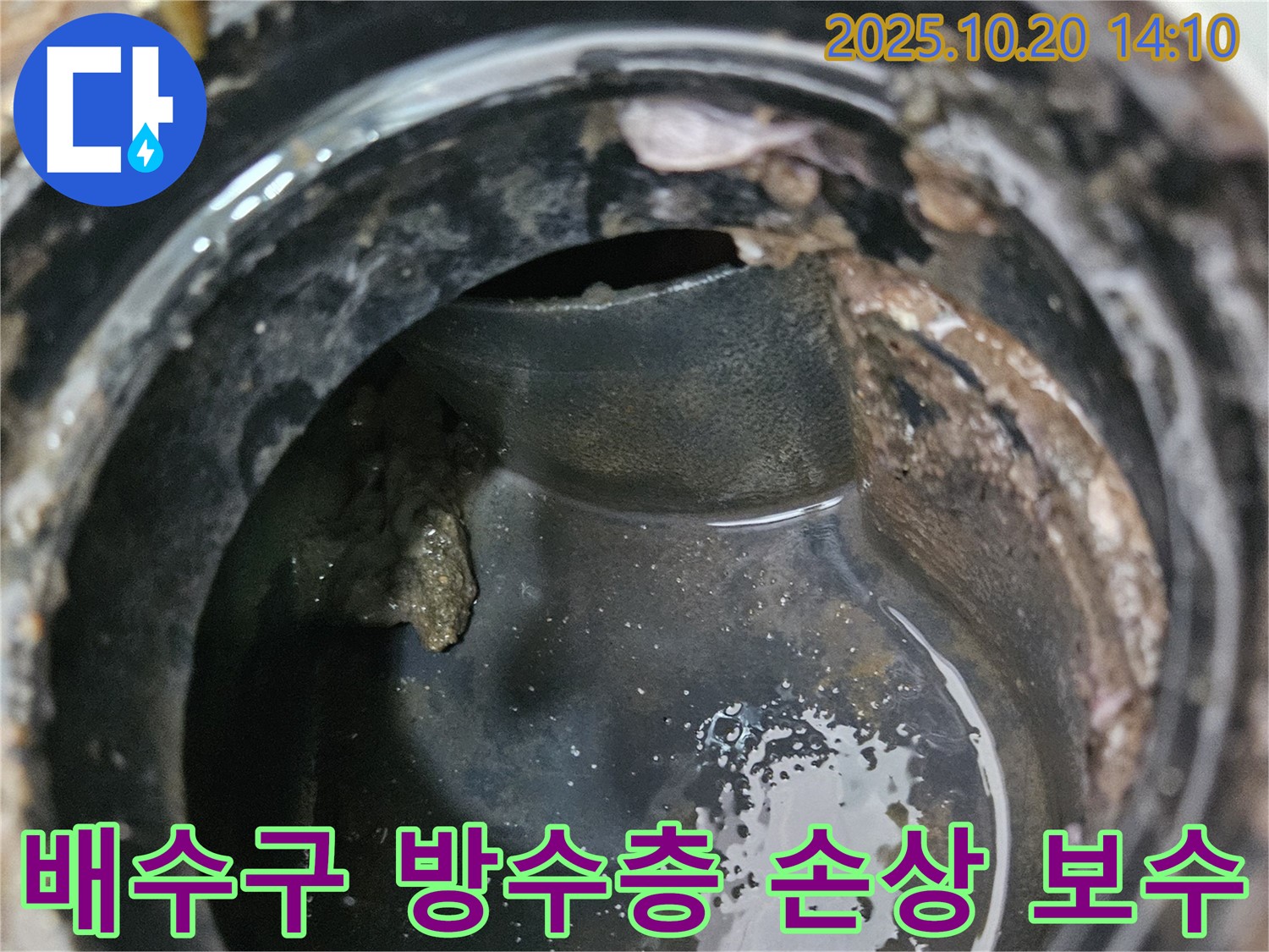 배수구 주변 방수층 손상 부위 - 신규 방수 시트 시공으로 완벽하게 보수