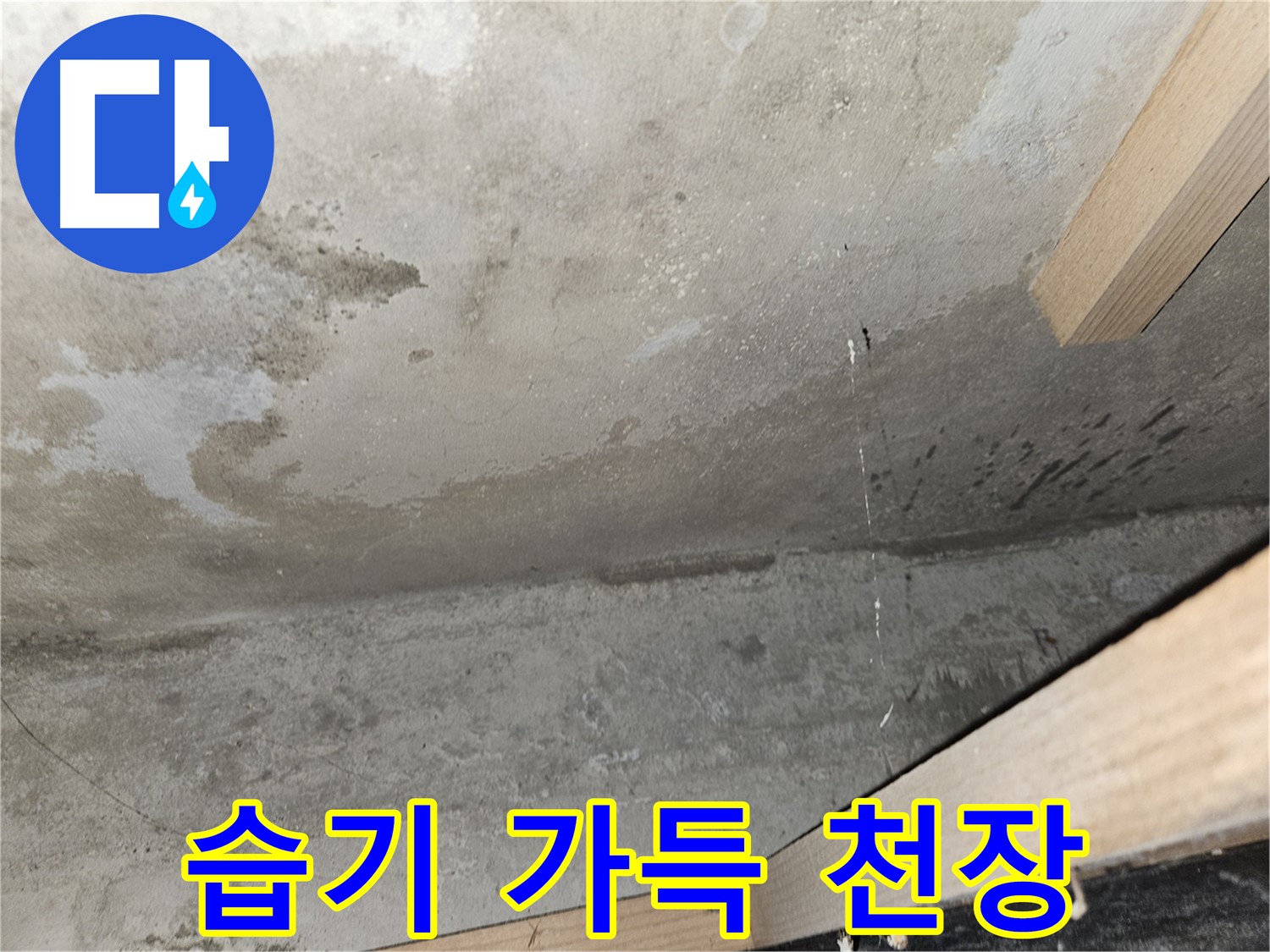습기 가득 천장 - 누수로 인해 습기가 가득한 천장의 모습입니다.