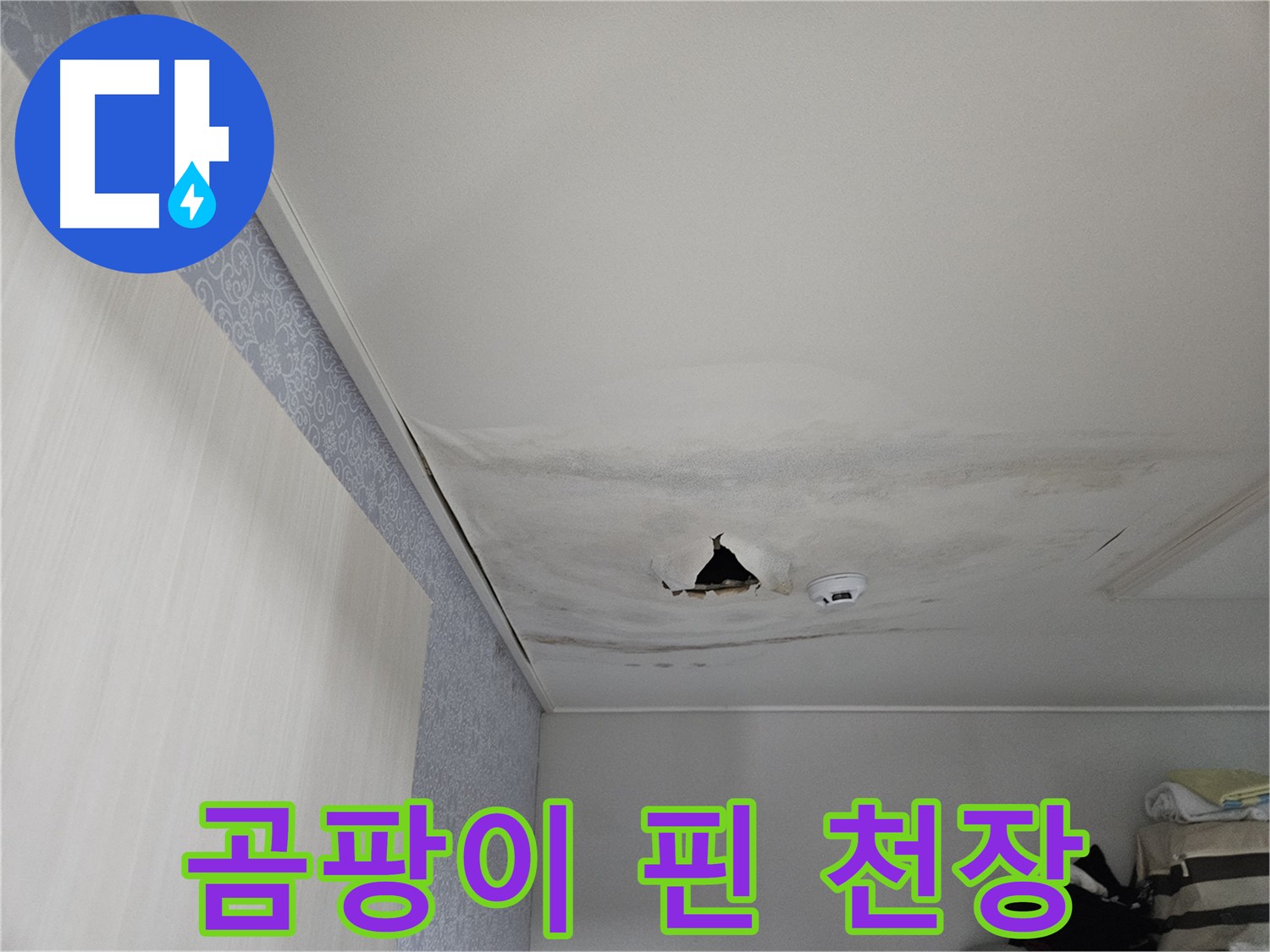천호1동 누수 - 곰팡이로 뒤덮인 천장, 건강에 해로워요