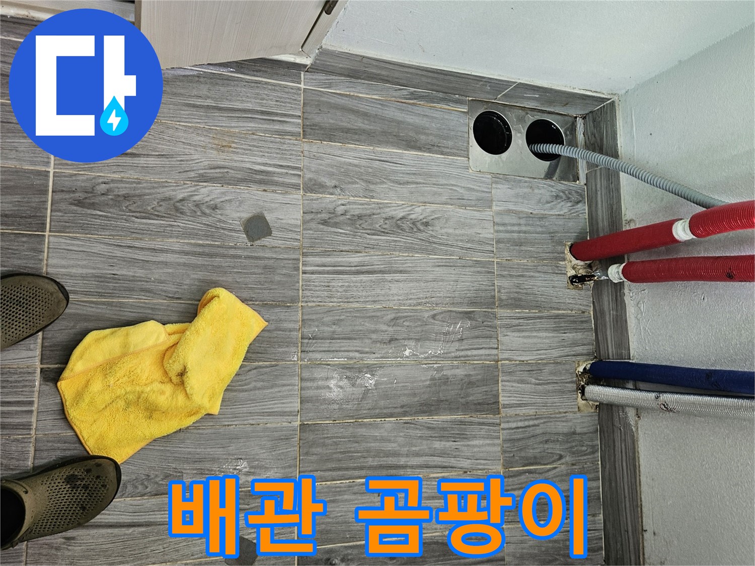 천호동 누수 - 배관 주변 습기로 인한 곰팡이 종류 확인