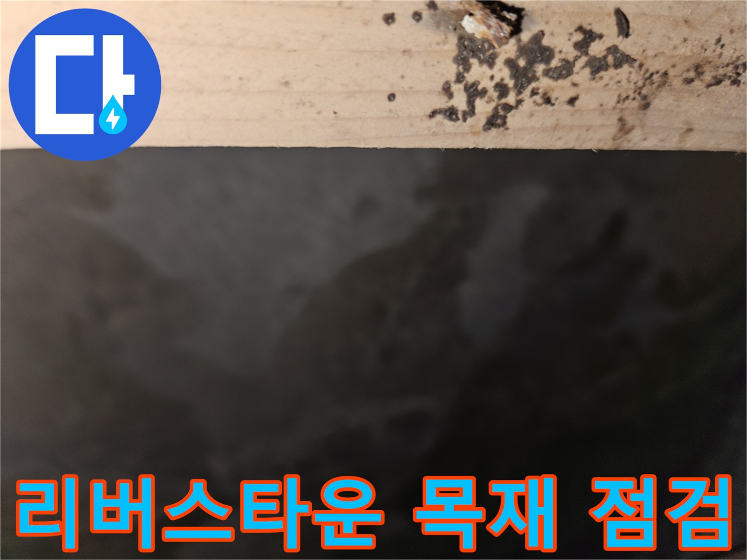천호동 리버스타운 누수 - 목재 상태 점검 - 첨단 장비 사용