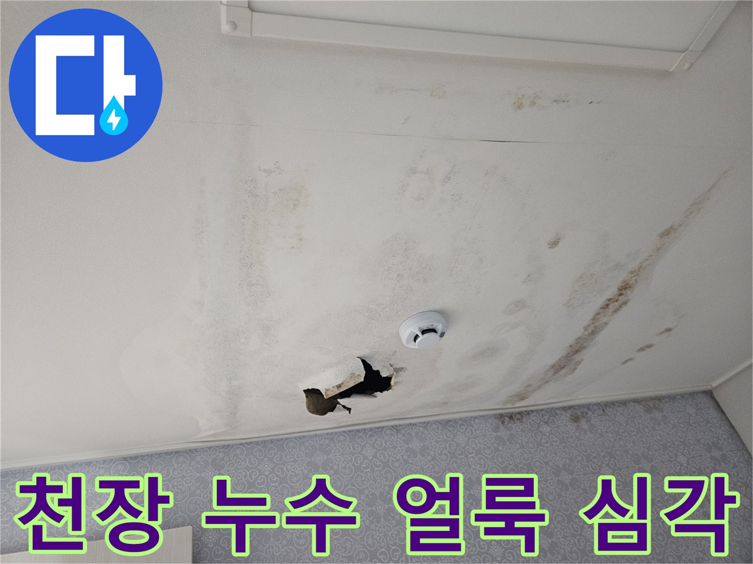 천호동 아파트 천장 누수 - 넓게 퍼진 누수 얼룩은 곰팡이와 악취의 원인이 될 수 있습니다 - 건강을 위해서라도 빠른 해결이 필요합니다