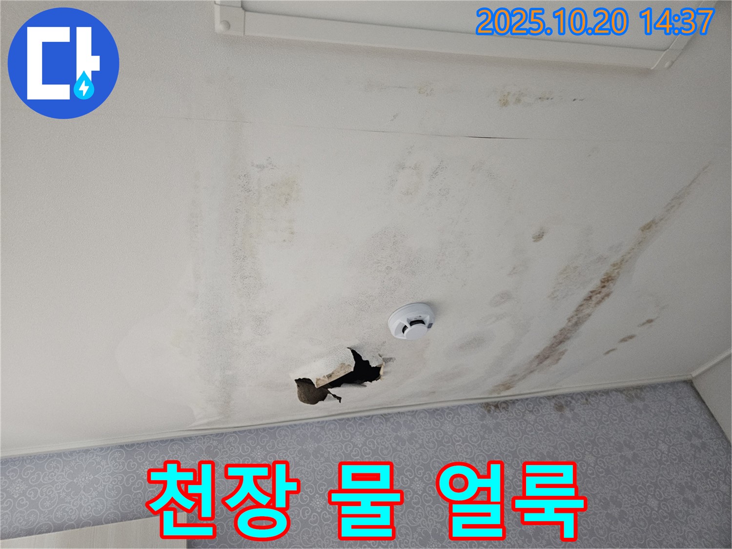 천호동 아파트 천장 누수 - 심각한 물 얼룩과 훼손 상태