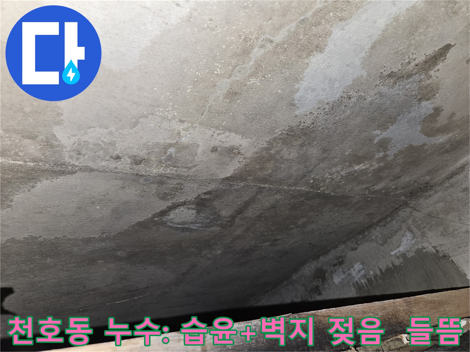 천호동 아파트 콘크리트 누수 - 습윤, 벽지 젖음/들뜸은 누수 증거