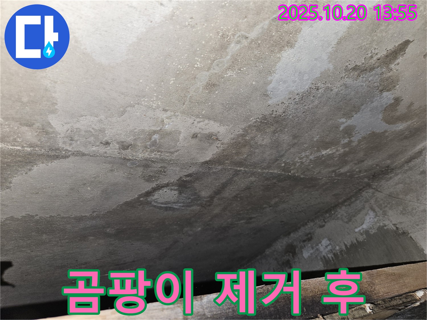 천호동 아파트 콘크리트 천장 누수 - 곰팡이 제거 후 깨끗해진 천장 이미지
