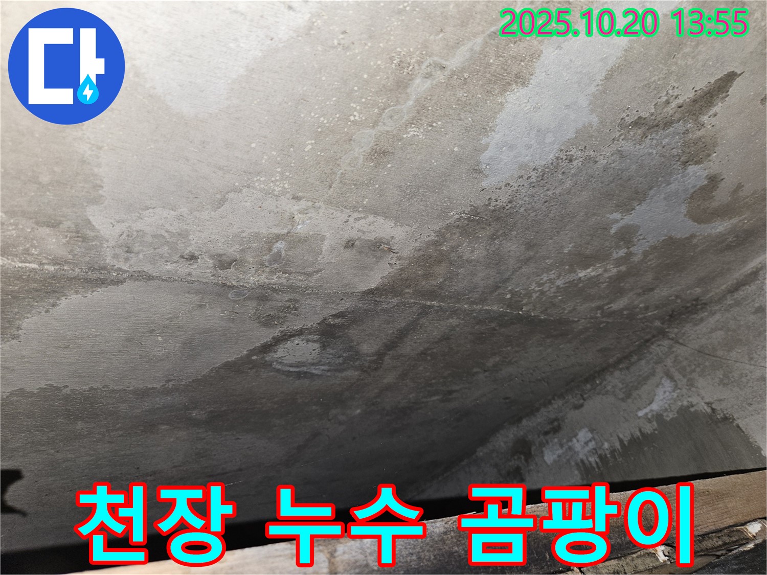천호동 아파트 콘크리트 천장 누수 - 누수 자국과 곰팡이 초기 발생을 보여주는 이미지