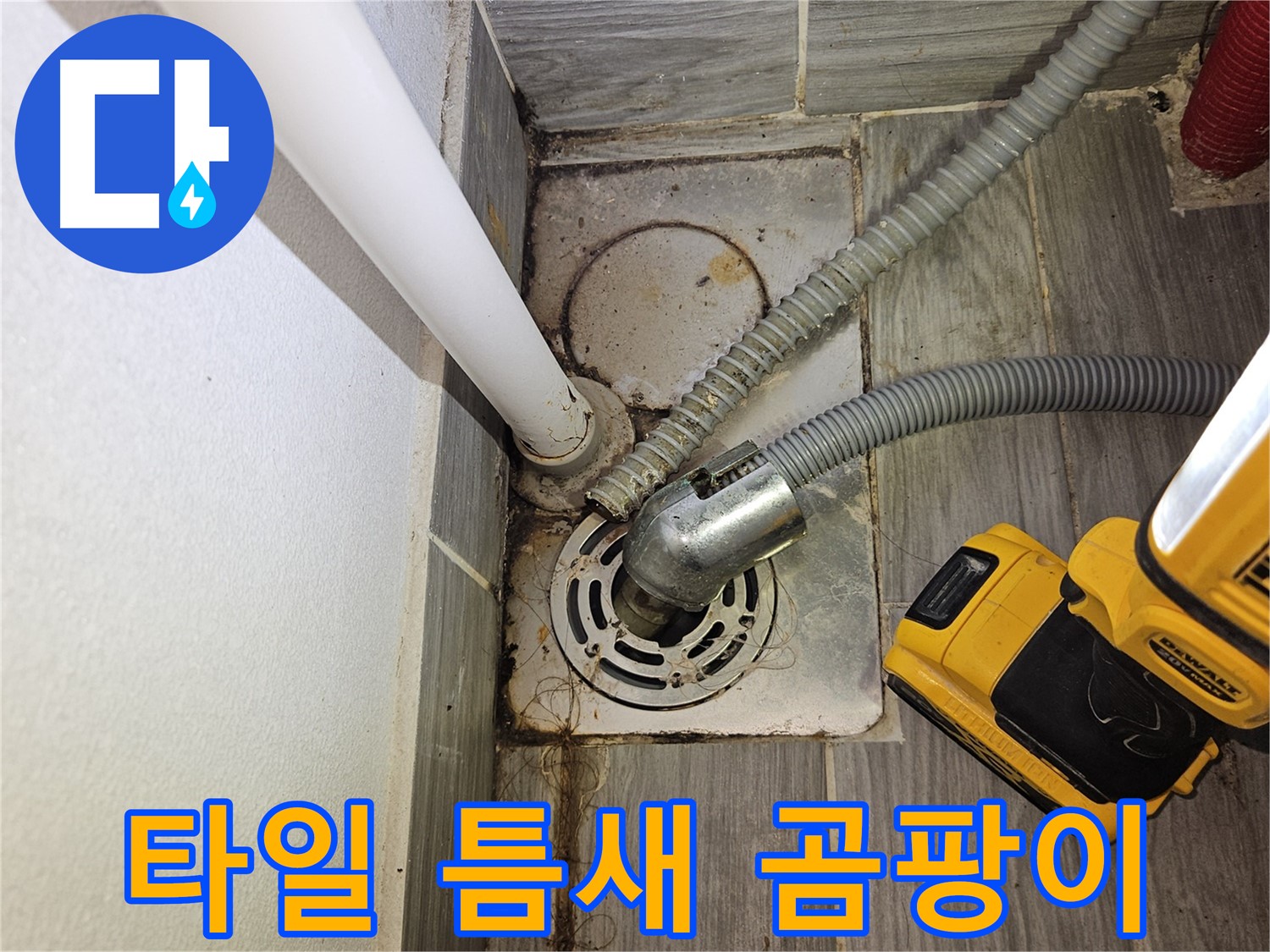 하수구 주변 타일 틈새 곰팡이 - 건강 위협