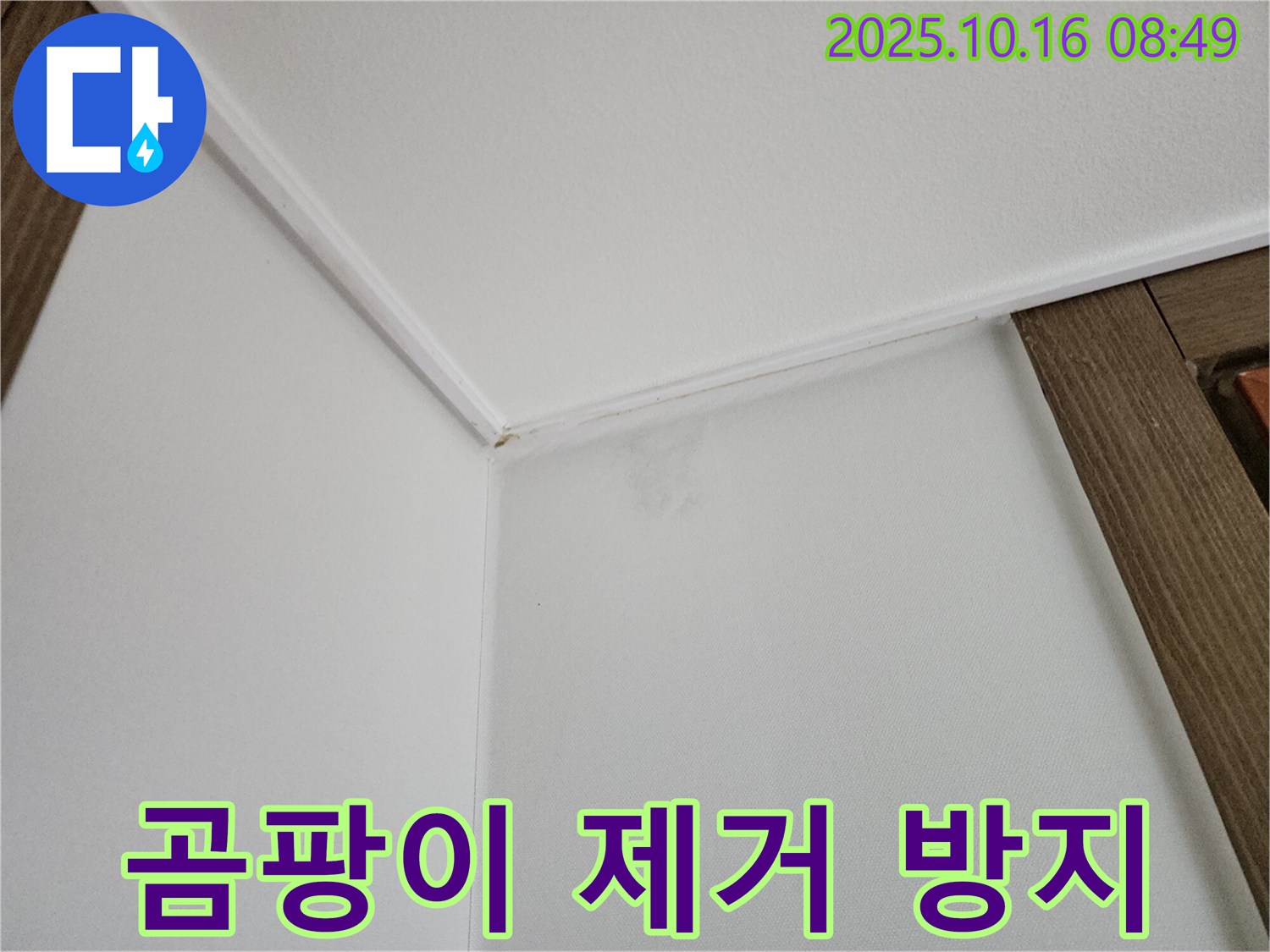 남면 경신리 천장-벽 젖음 - 곰팡이 제거와 방지 시공으로 건강한 공간을 만들어 드립니다.