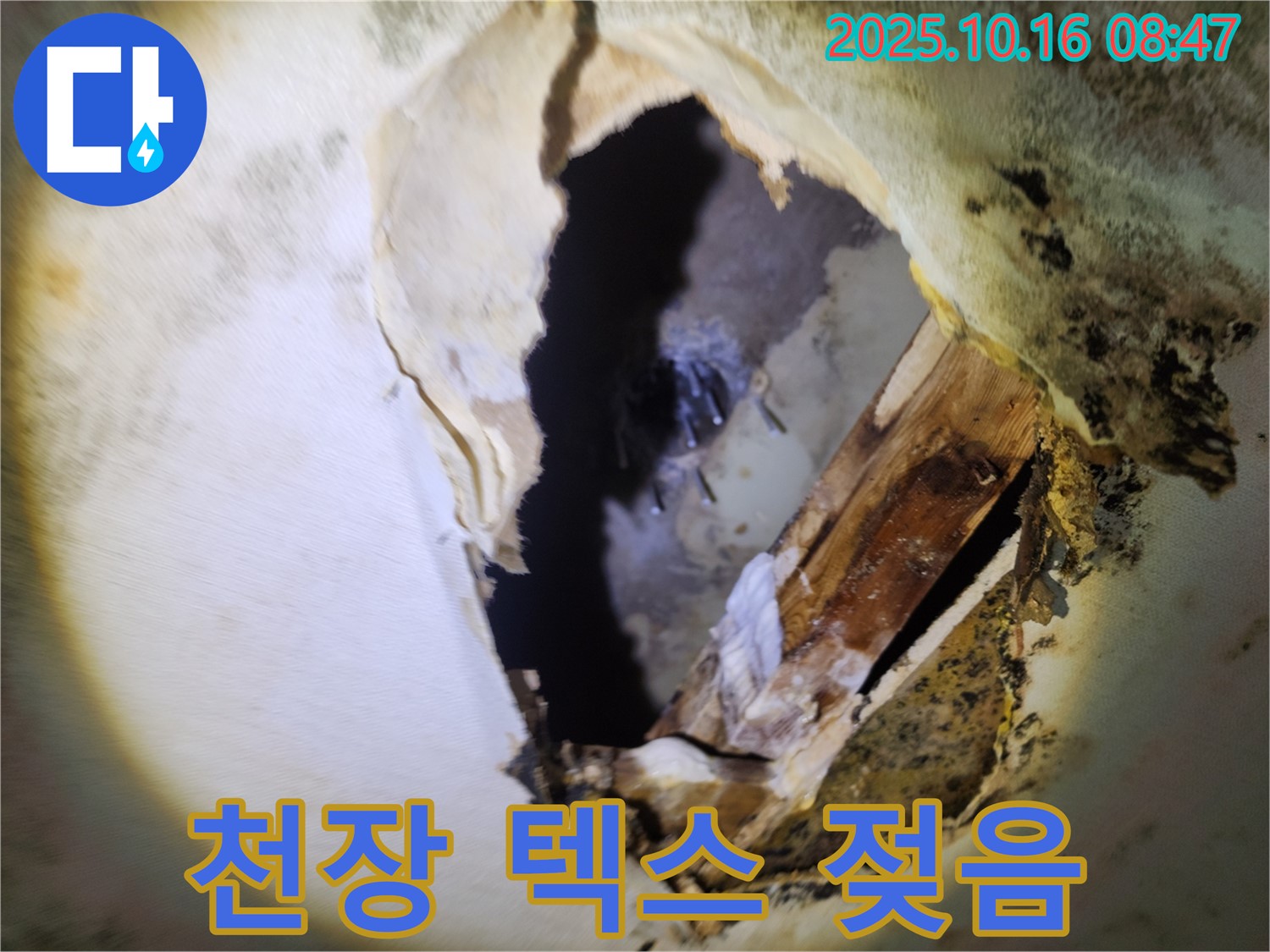 남면 천장 텍스 젖음 - 누수 진행 상황을 확인하고 신속하게 누수를 해결하는 전문 누수탐지 과정