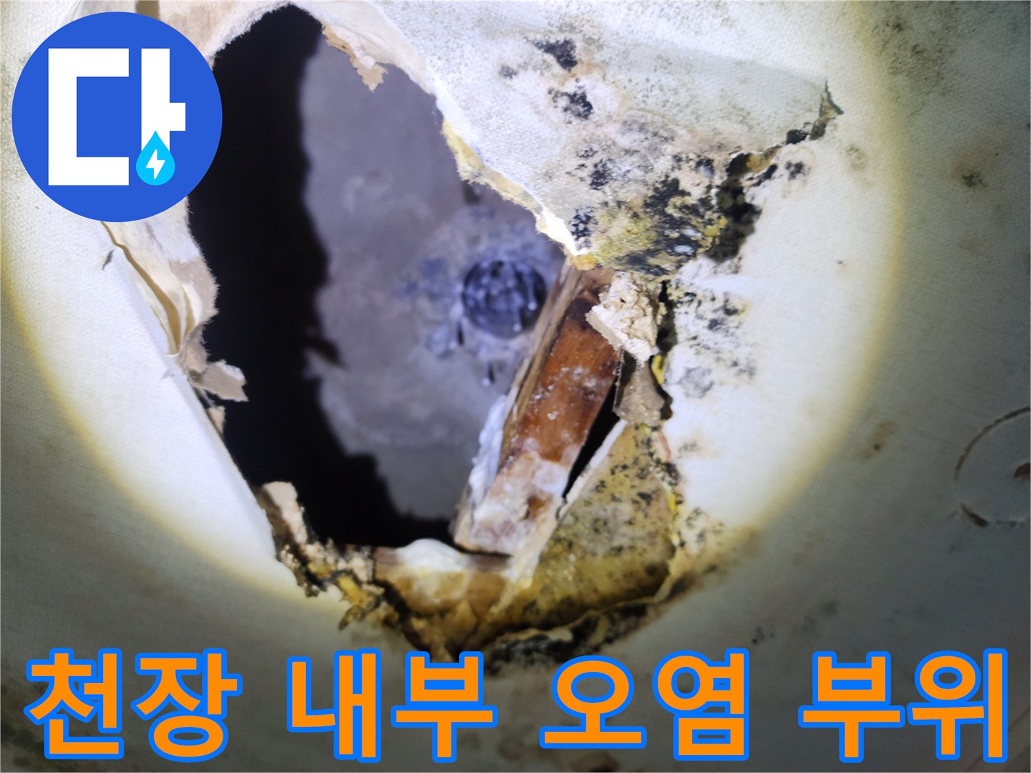 습기로 인해 변색되고 곰팡이가 발생한 천장 내부 모습