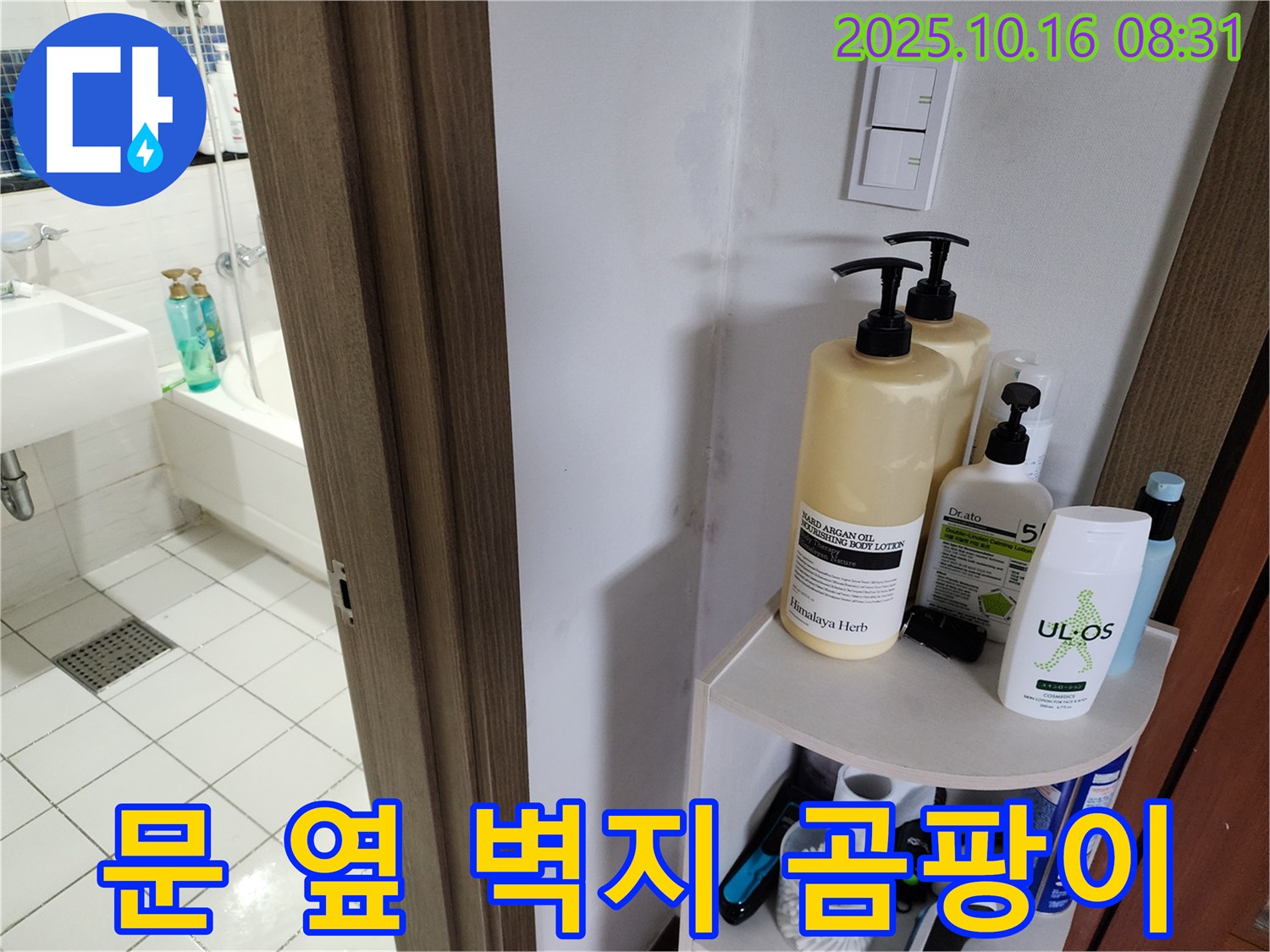 양주 경신리 욕실 누수 - 젖은 벽지와 곰팡이, 누수 가능성 확인