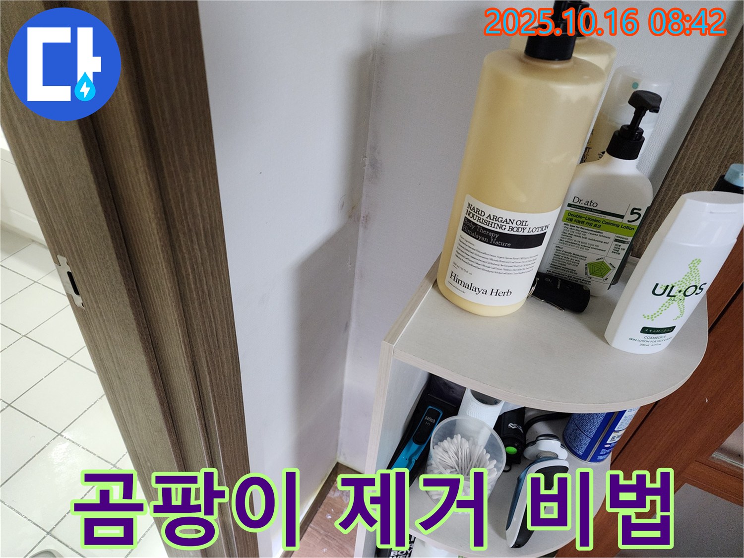 양주 남면 경신리 욕실 곰팡이 - 누수 문제 해결, 완벽 제거 비법 공개!