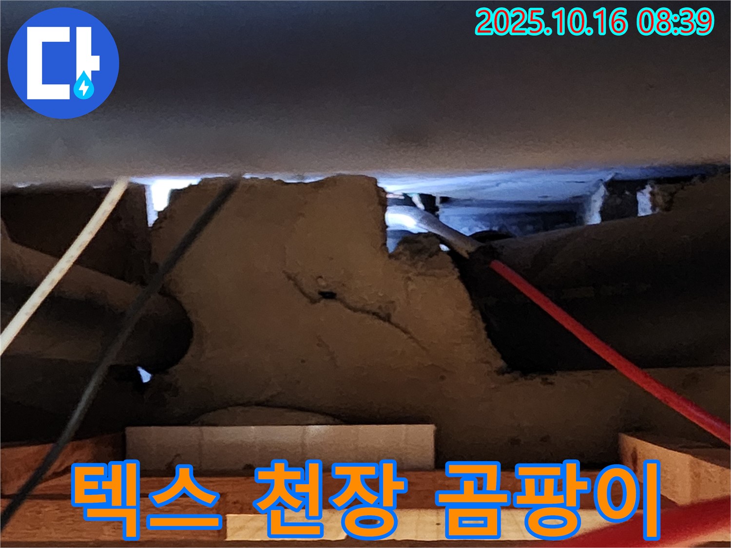 양주 텍스 천장 누수 - 곰팡이 발생 건강 위협 누수 해결