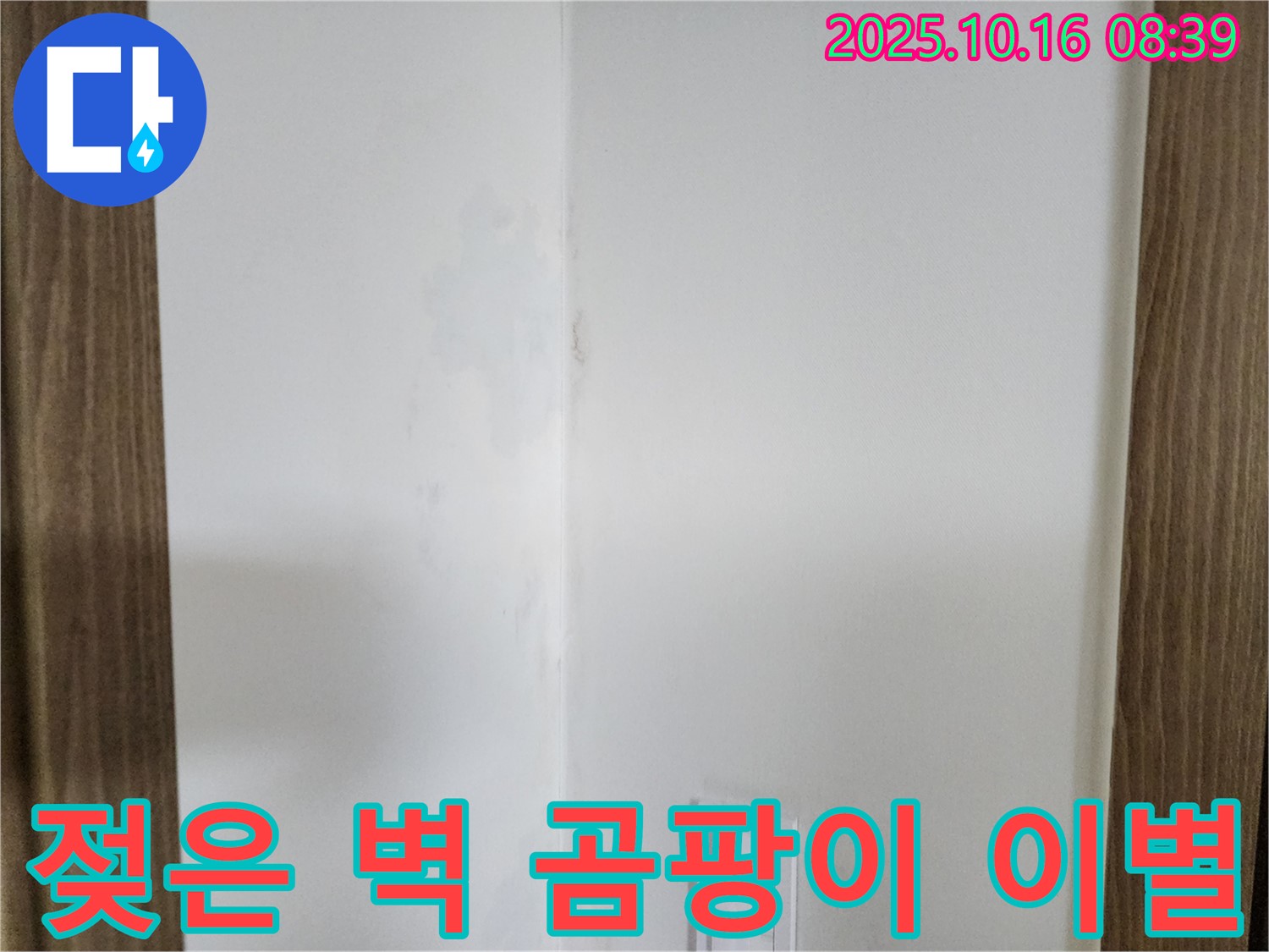 양주시 남면 경신리 주택 젖은 벽 - 곰팡이와의 이별, 누수 해결 의지