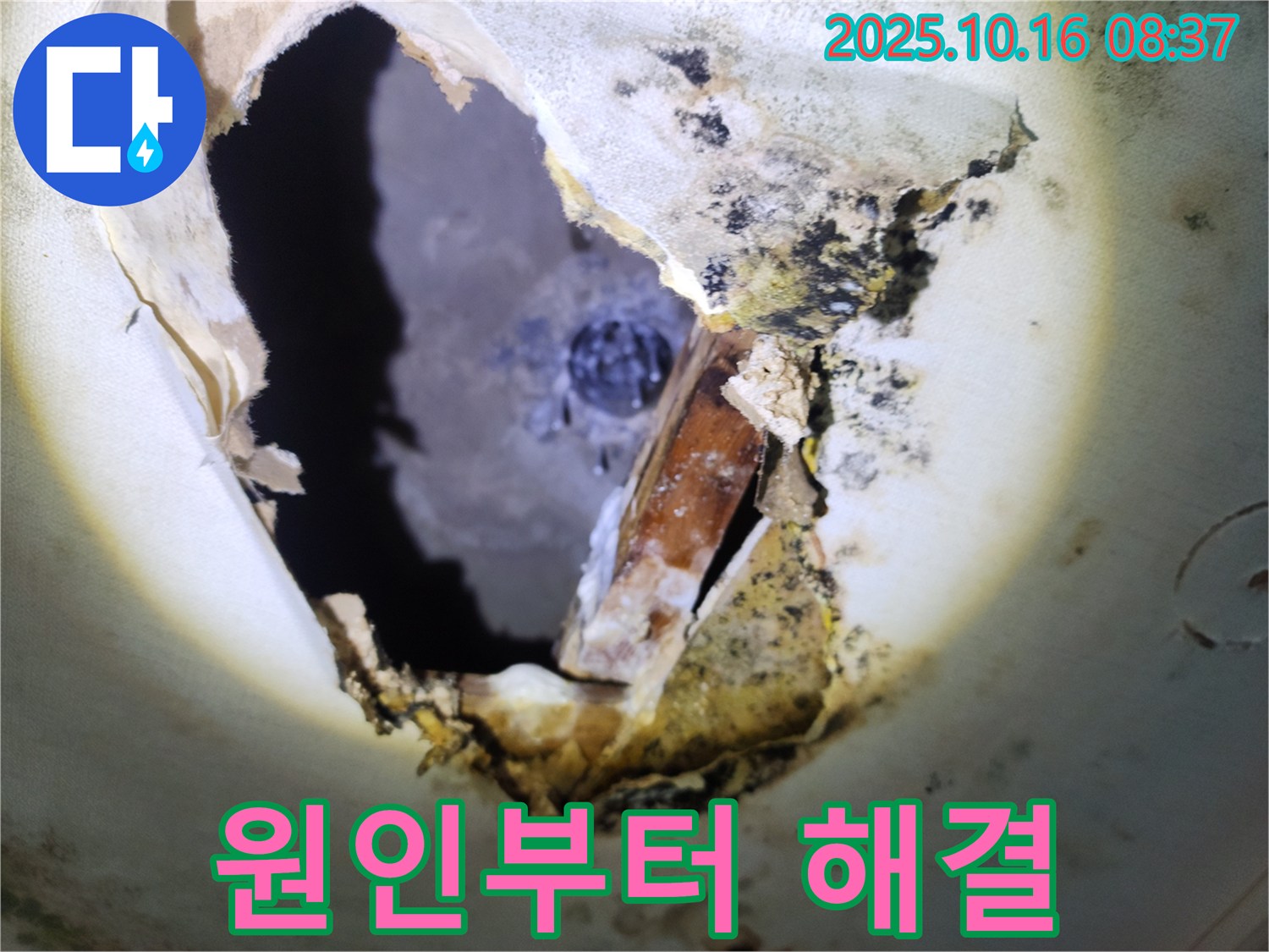 양주시 남면 경신리 주택 천장 - 곰팡이 천장, 남면 누수 전문가가 원인부터 해결까지 책임집니다!
