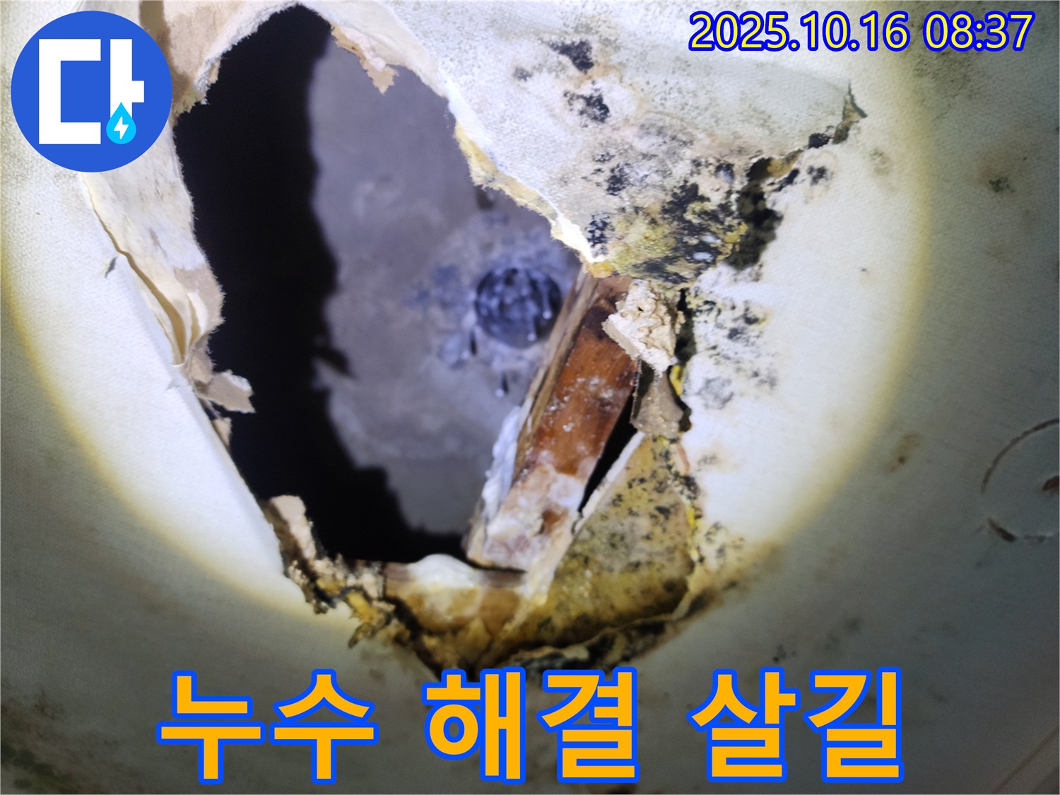 양주시 남면 경신리 주택 천장 - 곰팡이 천장, 누수 해결만이 살길입니다!