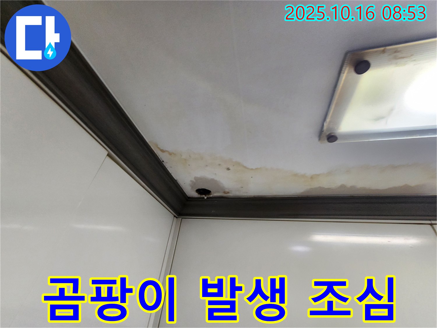 양주시 남면 경신리 천장 누수 - 곰팡이 발생 위험 - 빠른 조치