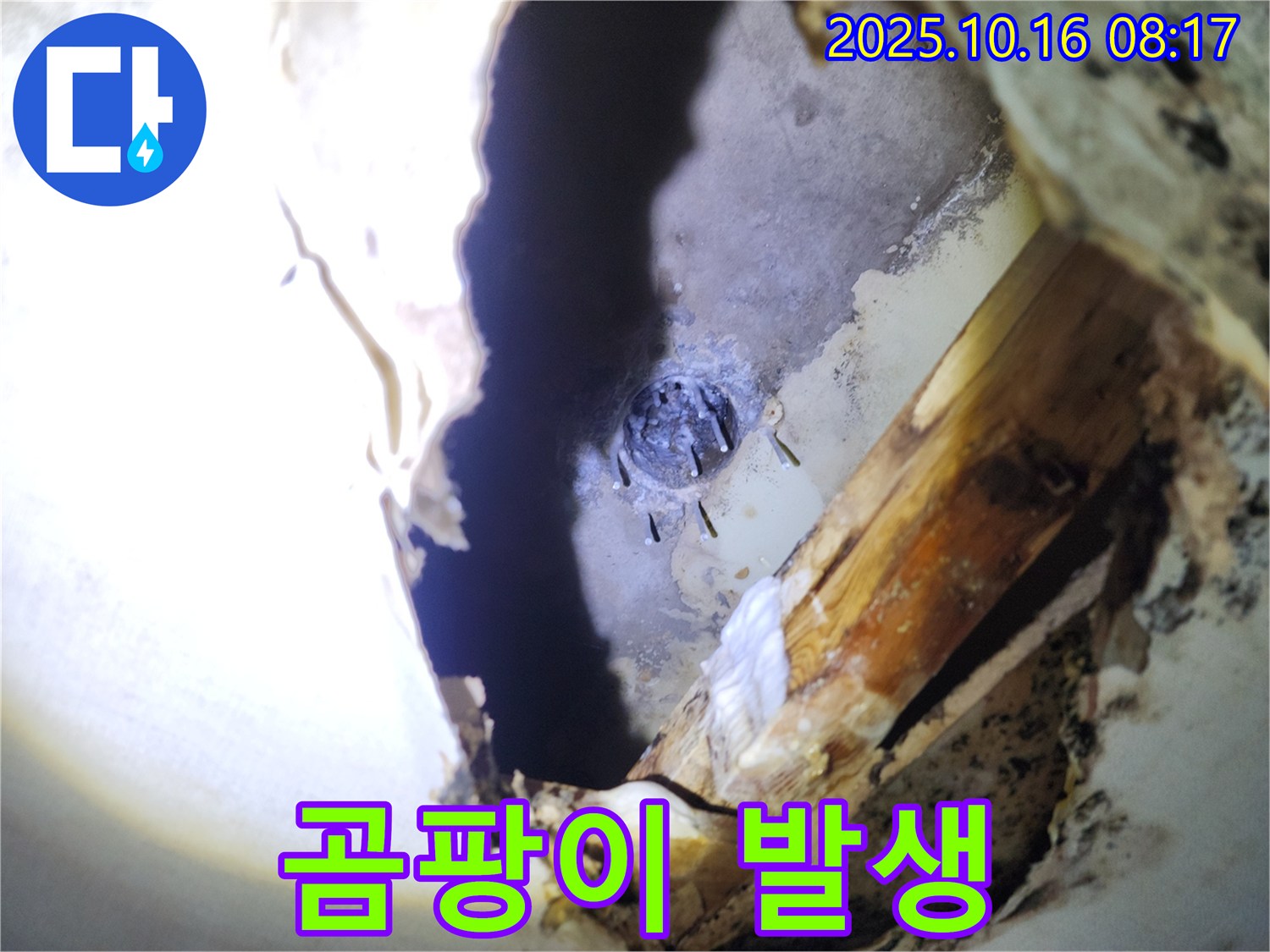 양주시 남면 경신리 천장 누수 - 젖은 석고보드와 곰팡이 발생으로 인한 피해 상황입니다.