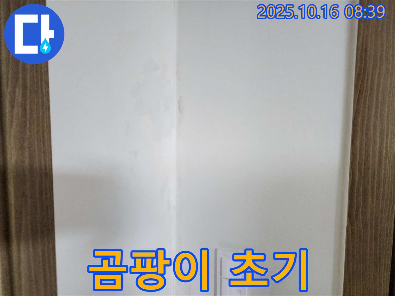 양주시 남면 주택 곰팡이 초기 - 골든 타임, 빠른 누수 점검 필요