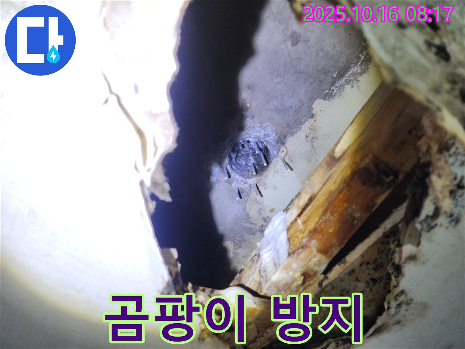 양주시 남면 천장 누수 - 곰팡이를 깨끗하게 제거하고, 곰팡이 방지 시공을 진행하고 있습니다.