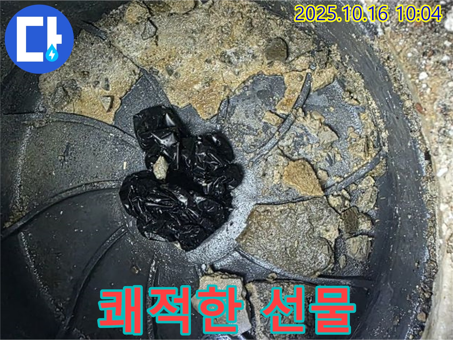 양주 옥정 율정마을 아파트 누수 - 배수구 악취 완벽 제거 - 쾌적한 환경 선물 (리본)